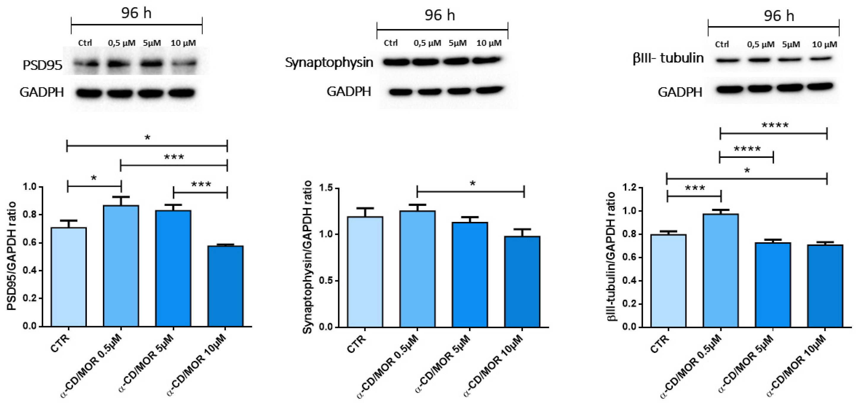 Ijms 26 08220 g005 Ijms 26 08220 g005