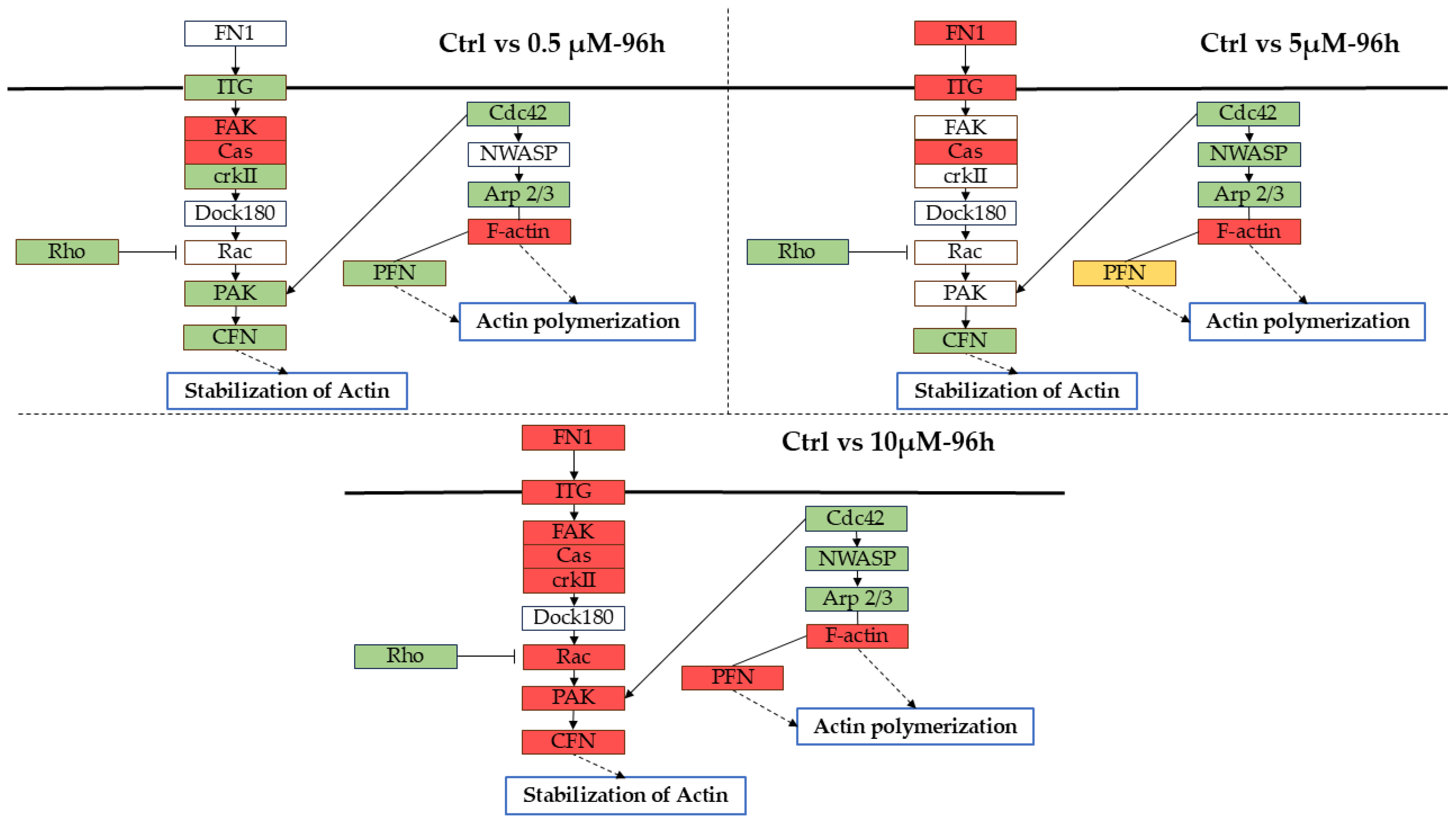 Ijms 26 08220 g008 Ijms 26 08220 g008