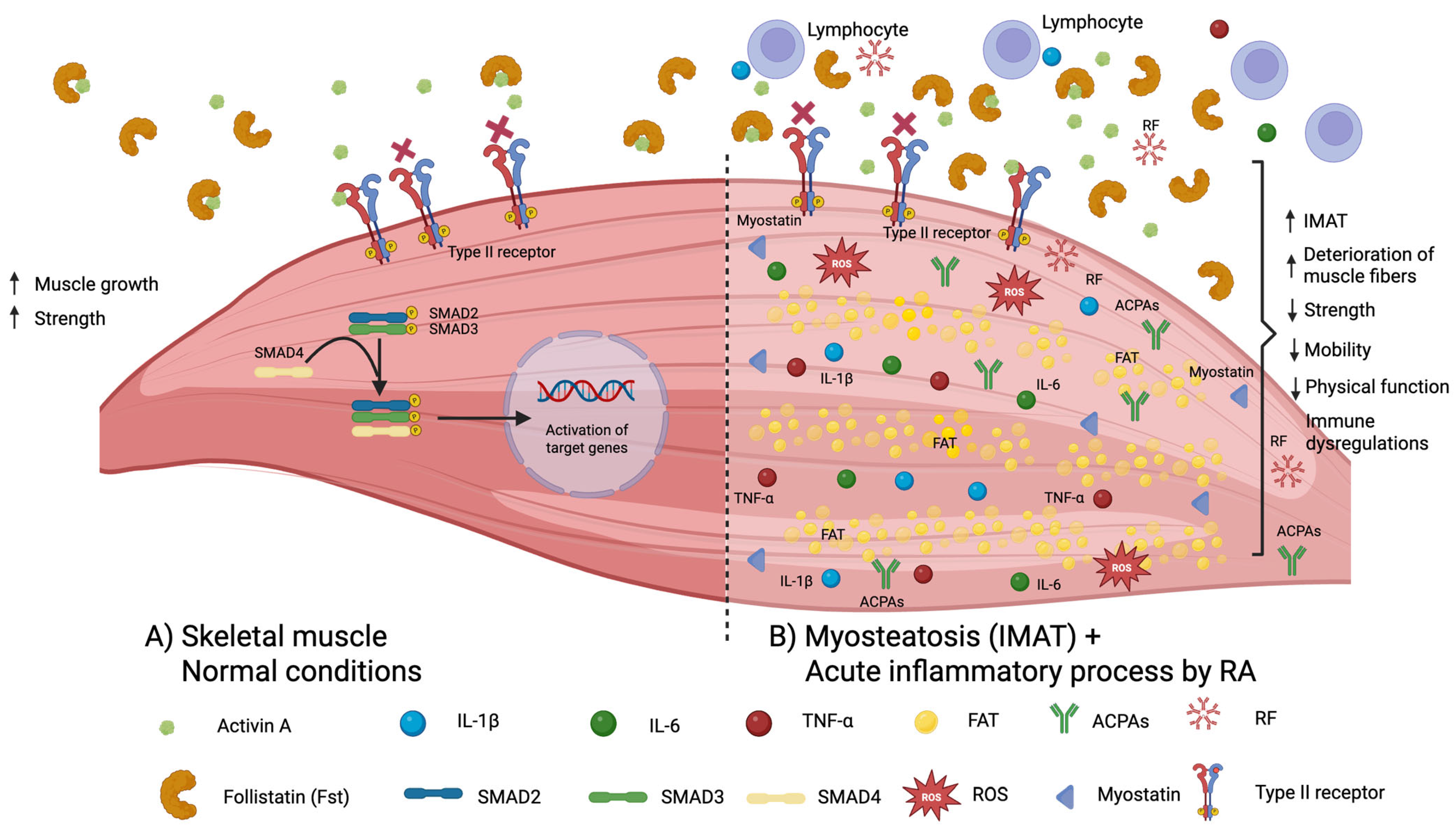 Ijms 26 08232 g001 Ijms 26 08232 g001