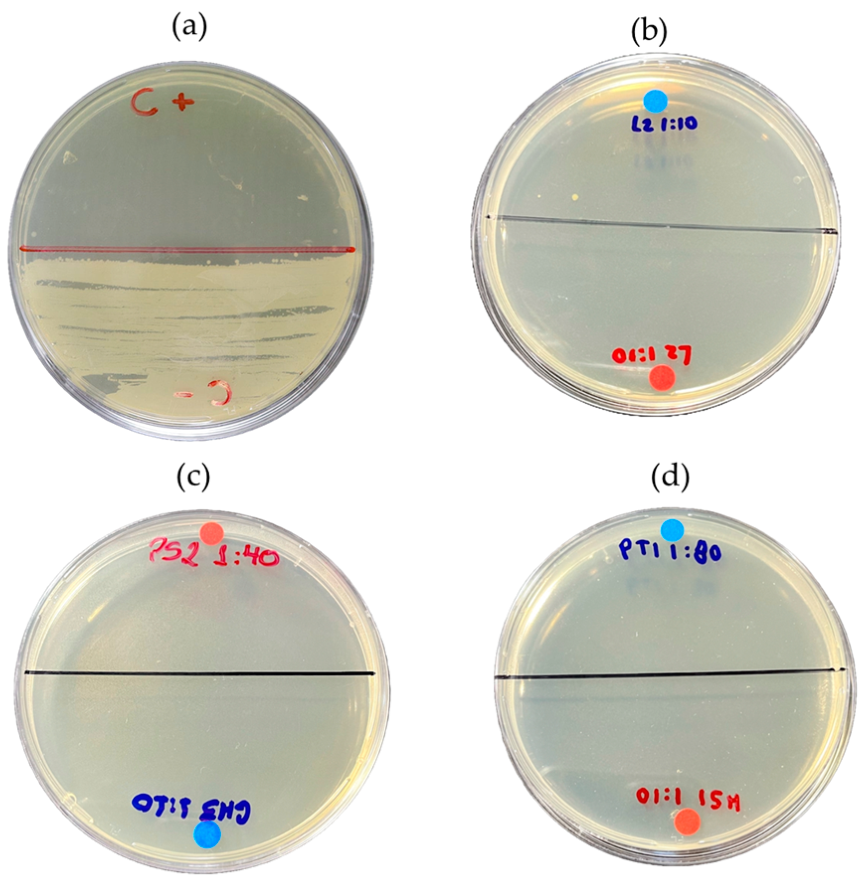 Ijms 26 08251 g009 Ijms 26 08251 g009