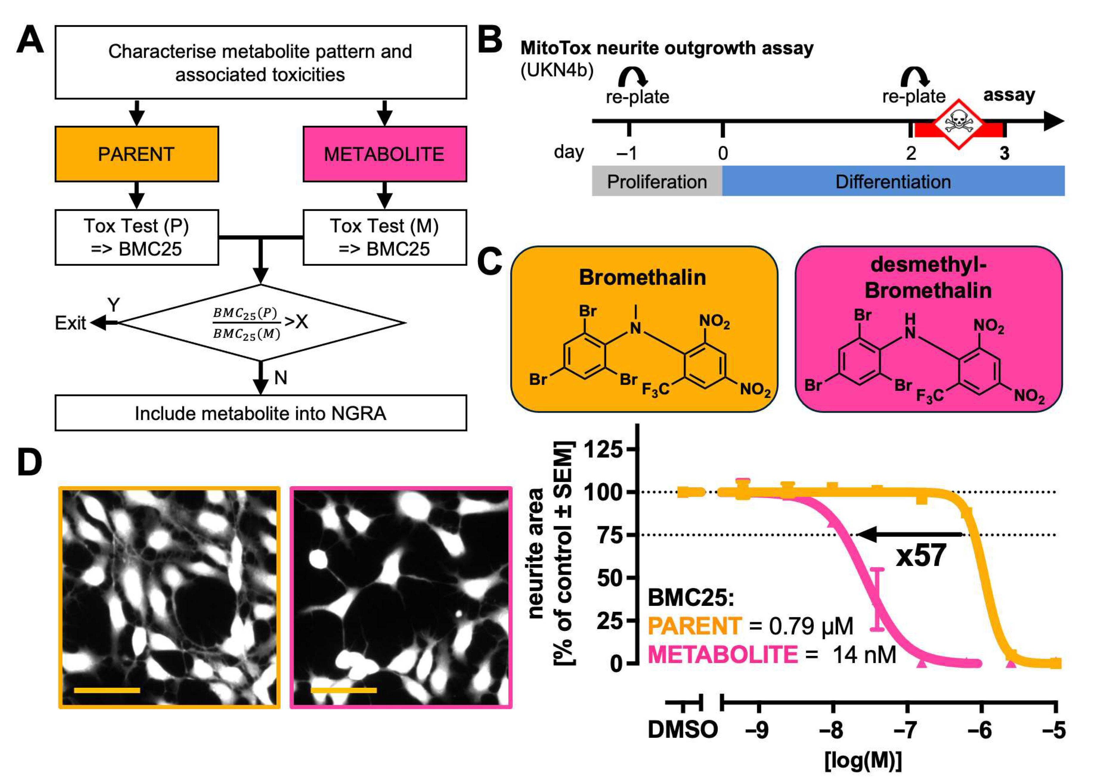 Ijms 26 08338 g001 Ijms 26 08338 g001