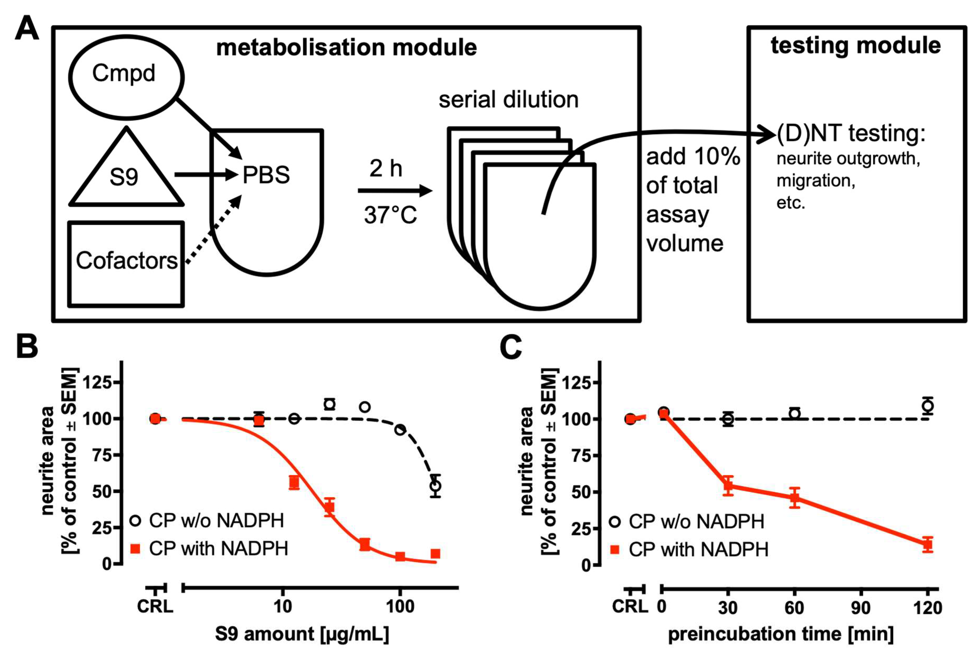 Ijms 26 08338 g004 Ijms 26 08338 g004