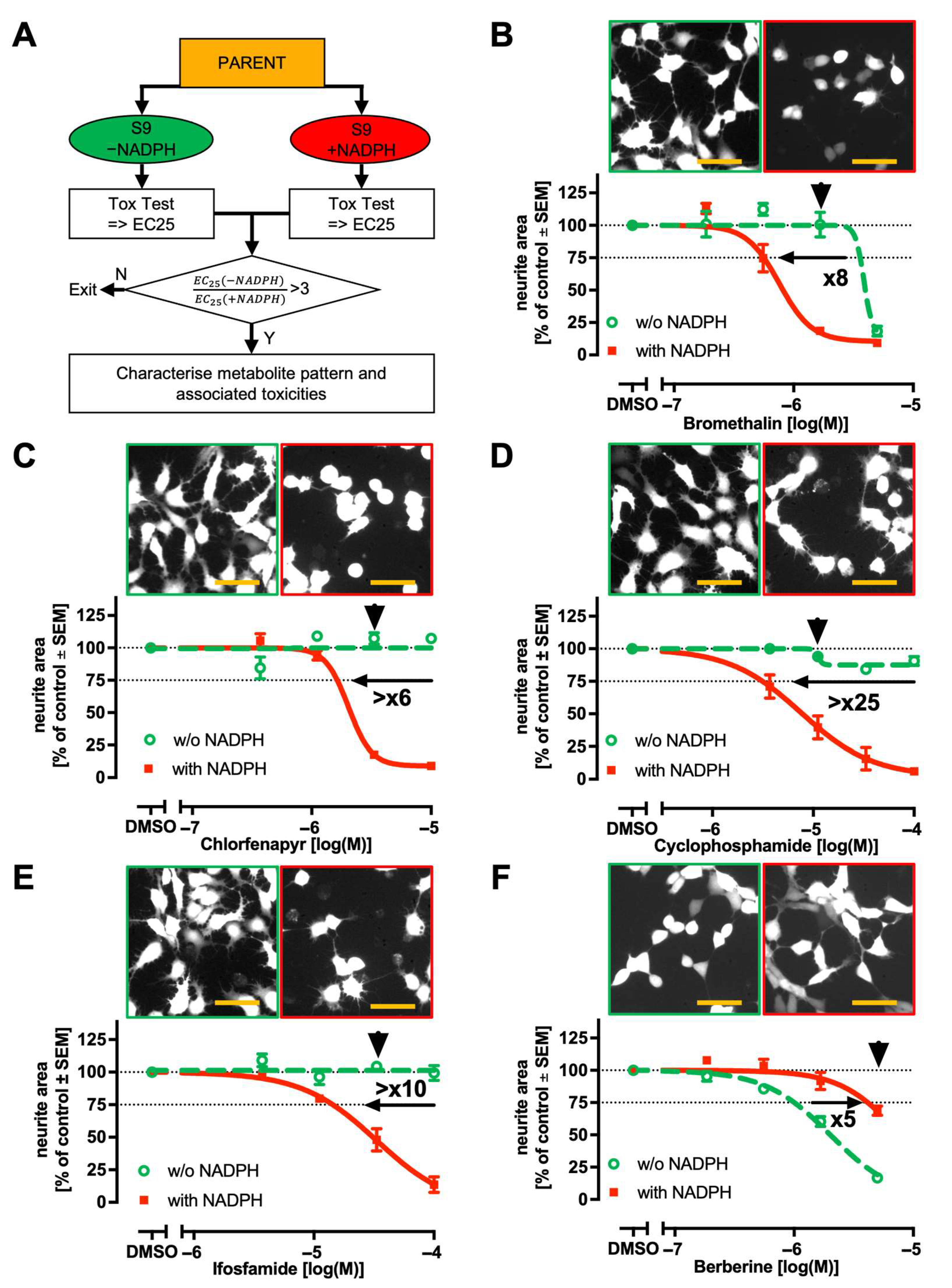 Ijms 26 08338 g005 Ijms 26 08338 g005