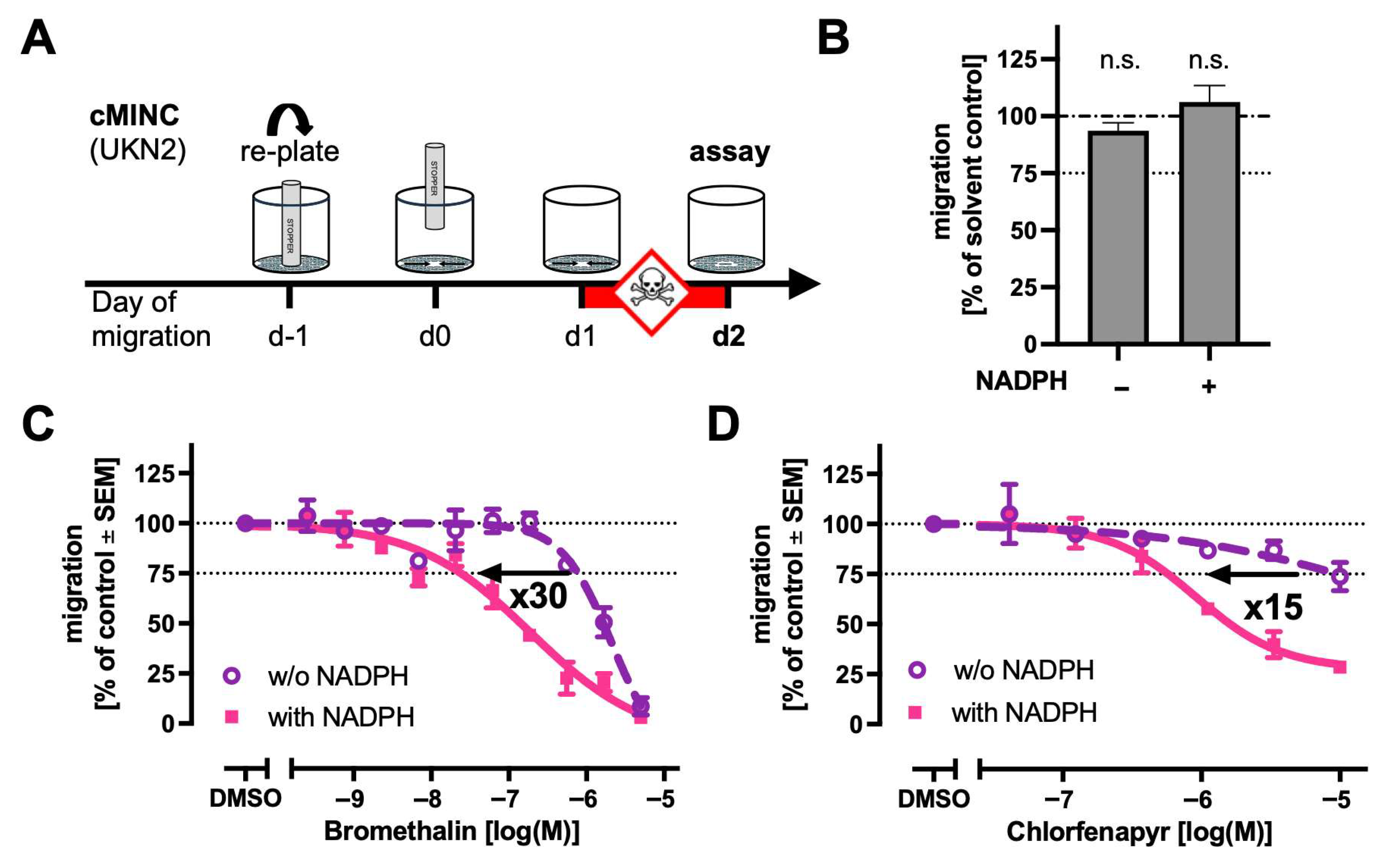 Ijms 26 08338 g006 Ijms 26 08338 g006