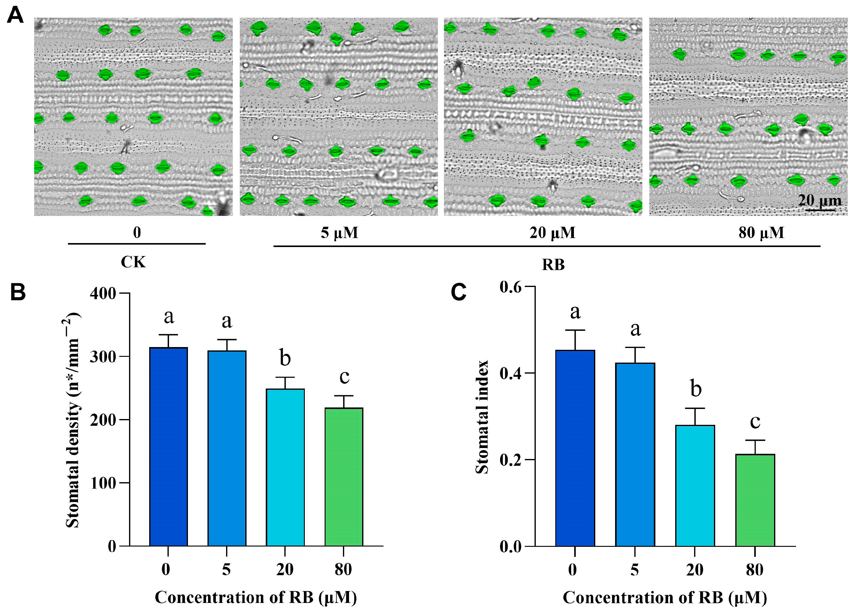Ijms 26 08382 g002 Ijms 26 08382 g002