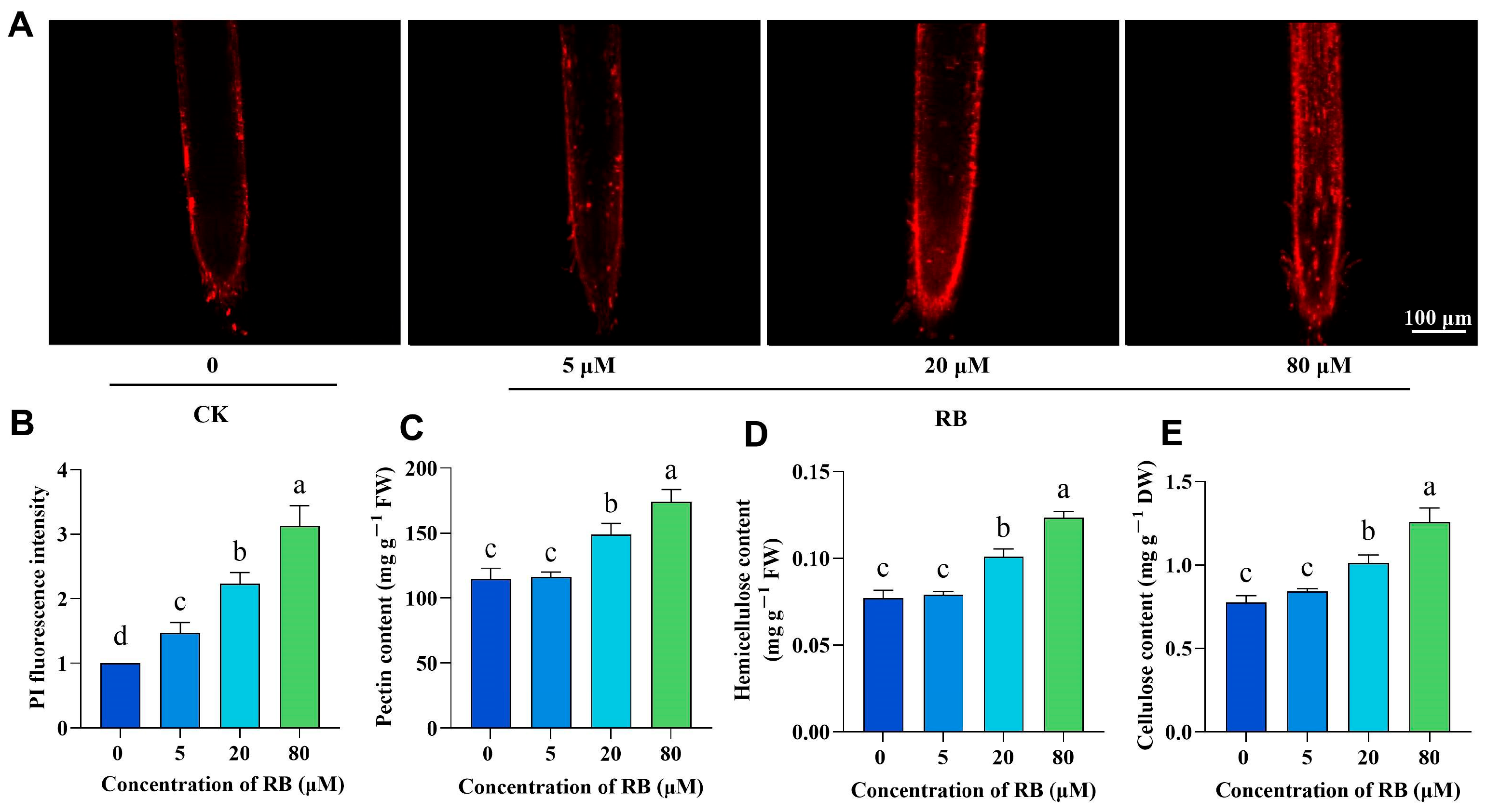 Ijms 26 08382 g003 Ijms 26 08382 g003