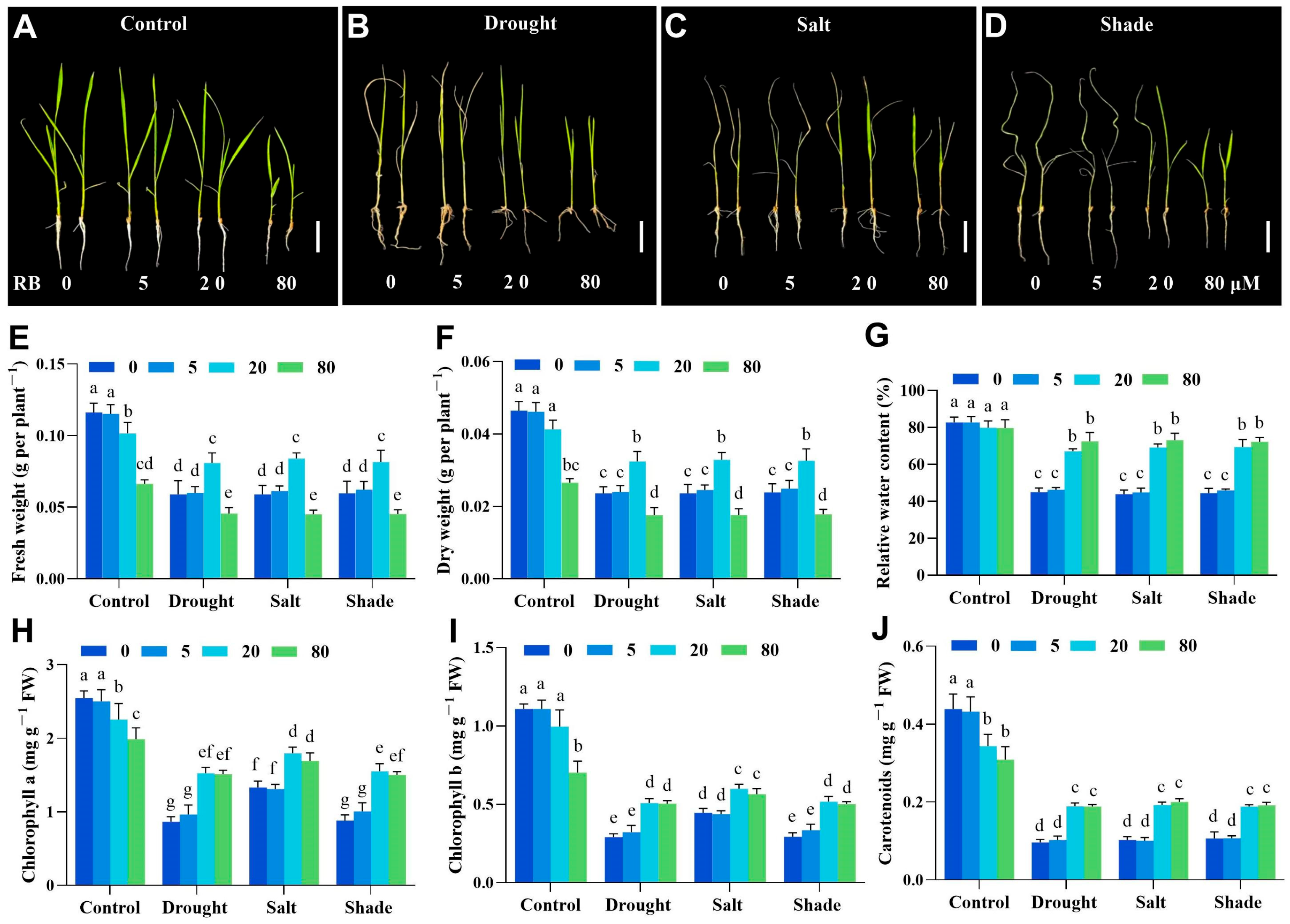 Ijms 26 08382 g004 Ijms 26 08382 g004