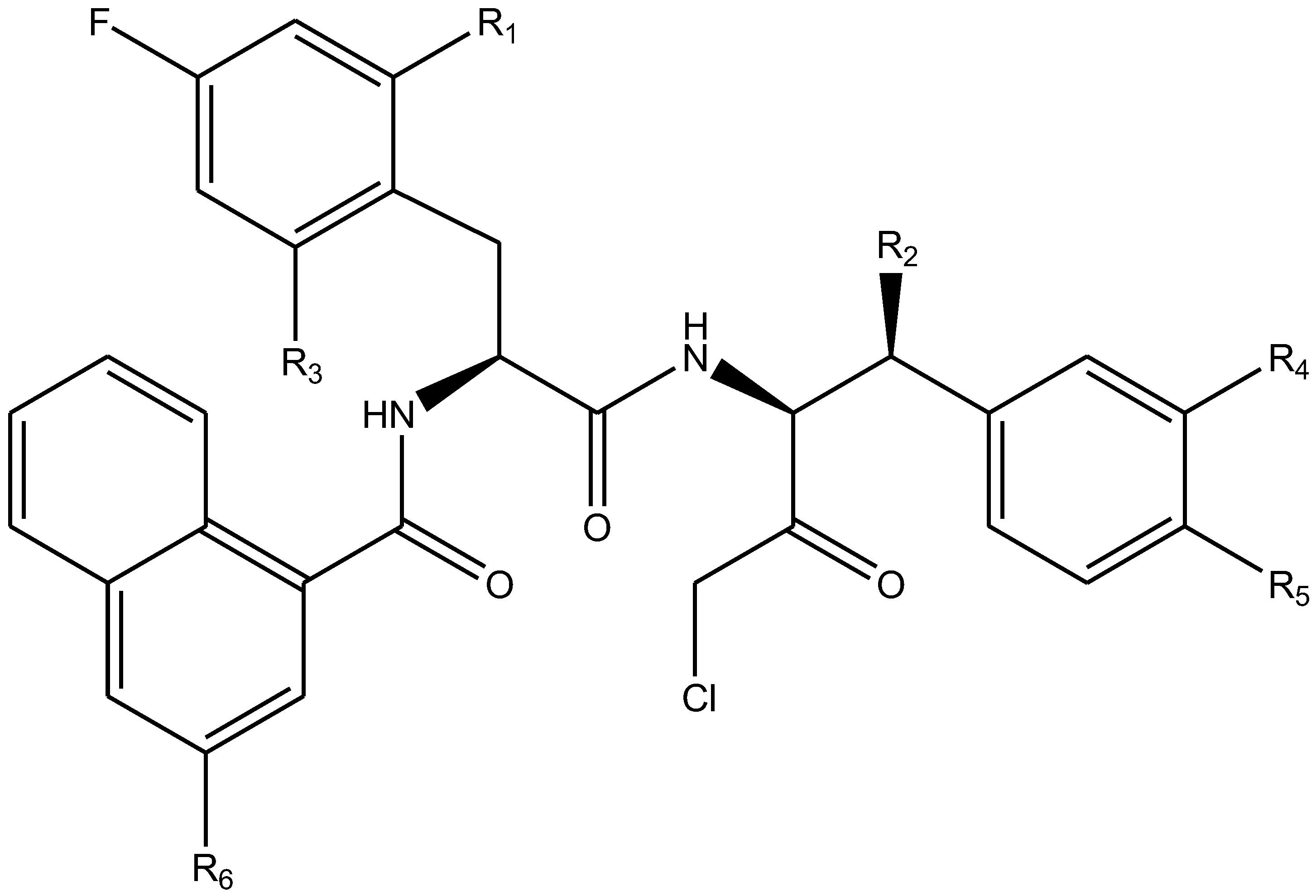 Ijms 26 08423 g009 Ijms 26 08423 g009