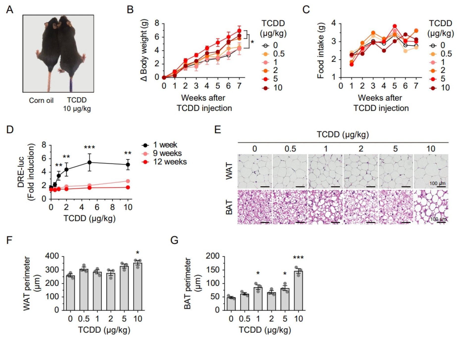 Ijms 26 08452 g001 Ijms 26 08452 g001