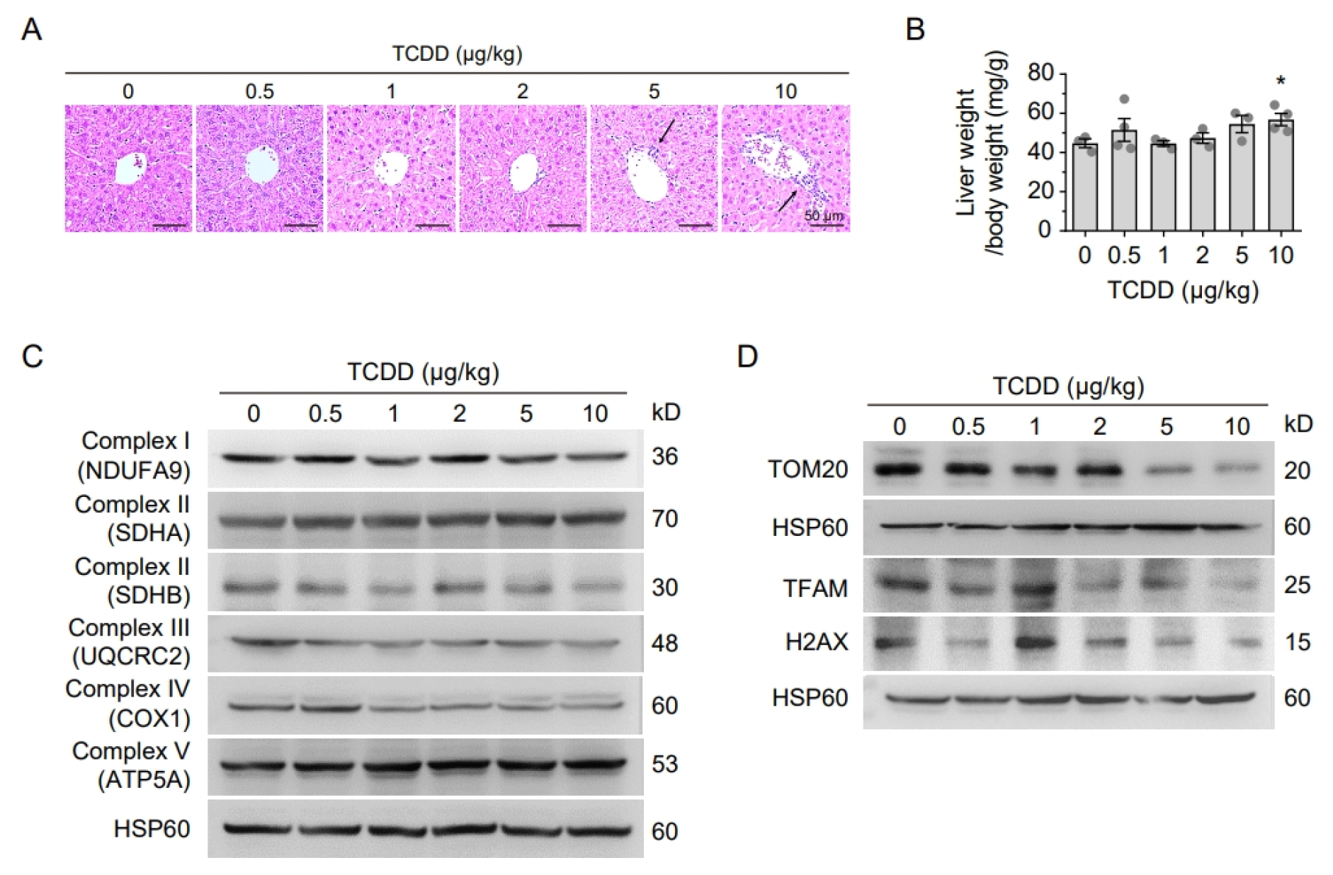 Ijms 26 08452 g002 Ijms 26 08452 g002