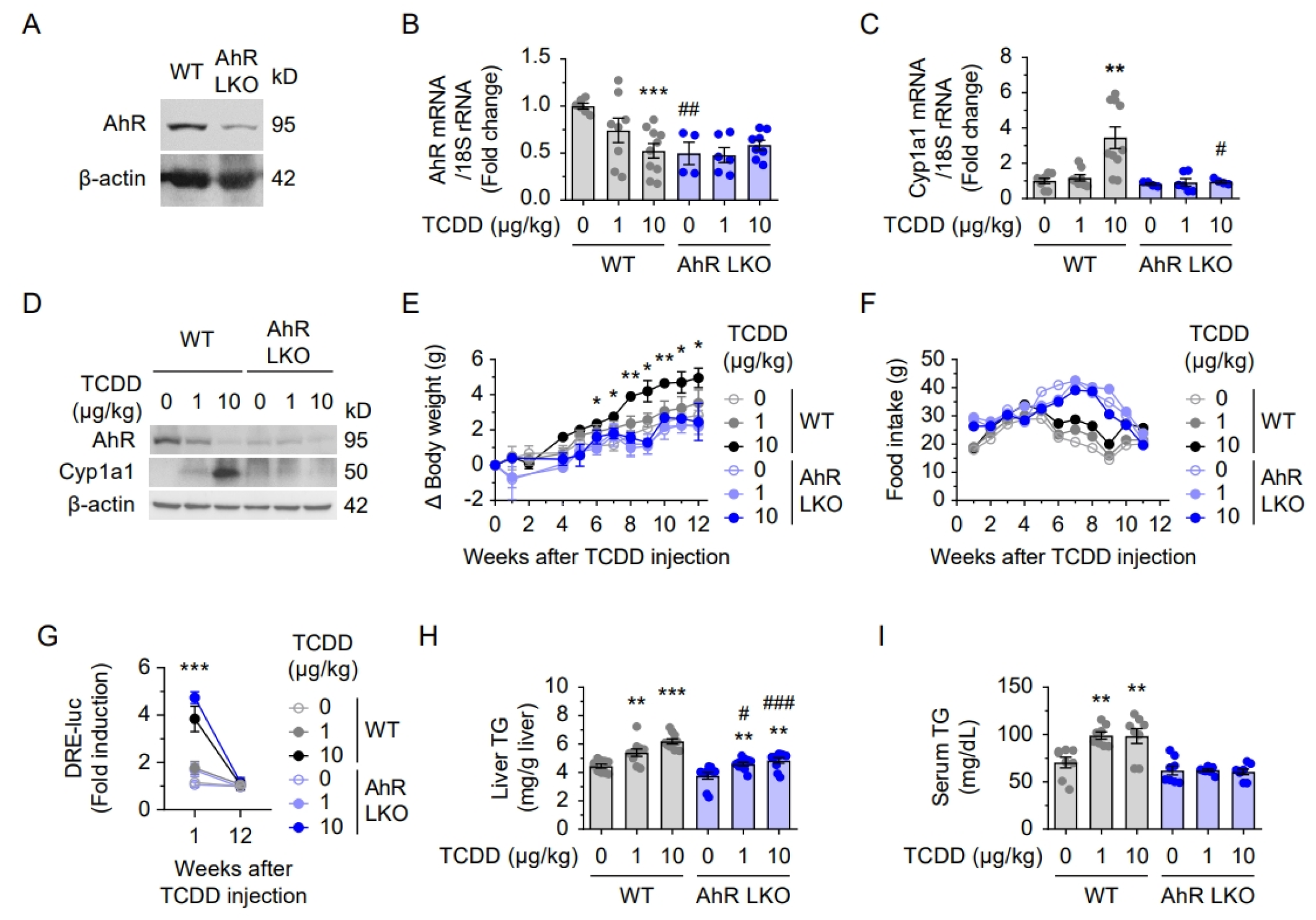 Ijms 26 08452 g003 Ijms 26 08452 g003