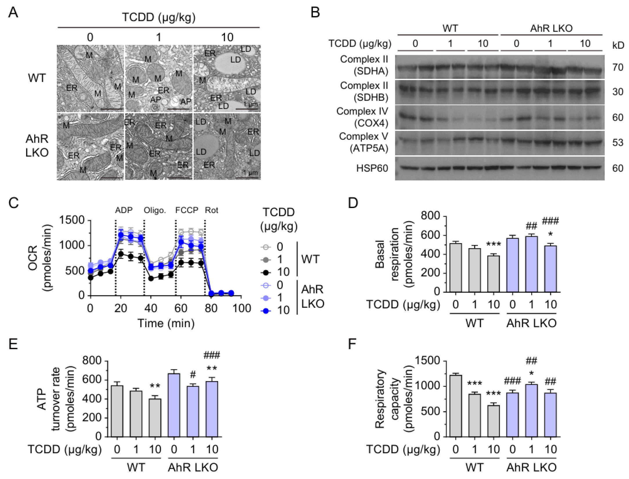 Ijms 26 08452 g005 Ijms 26 08452 g005