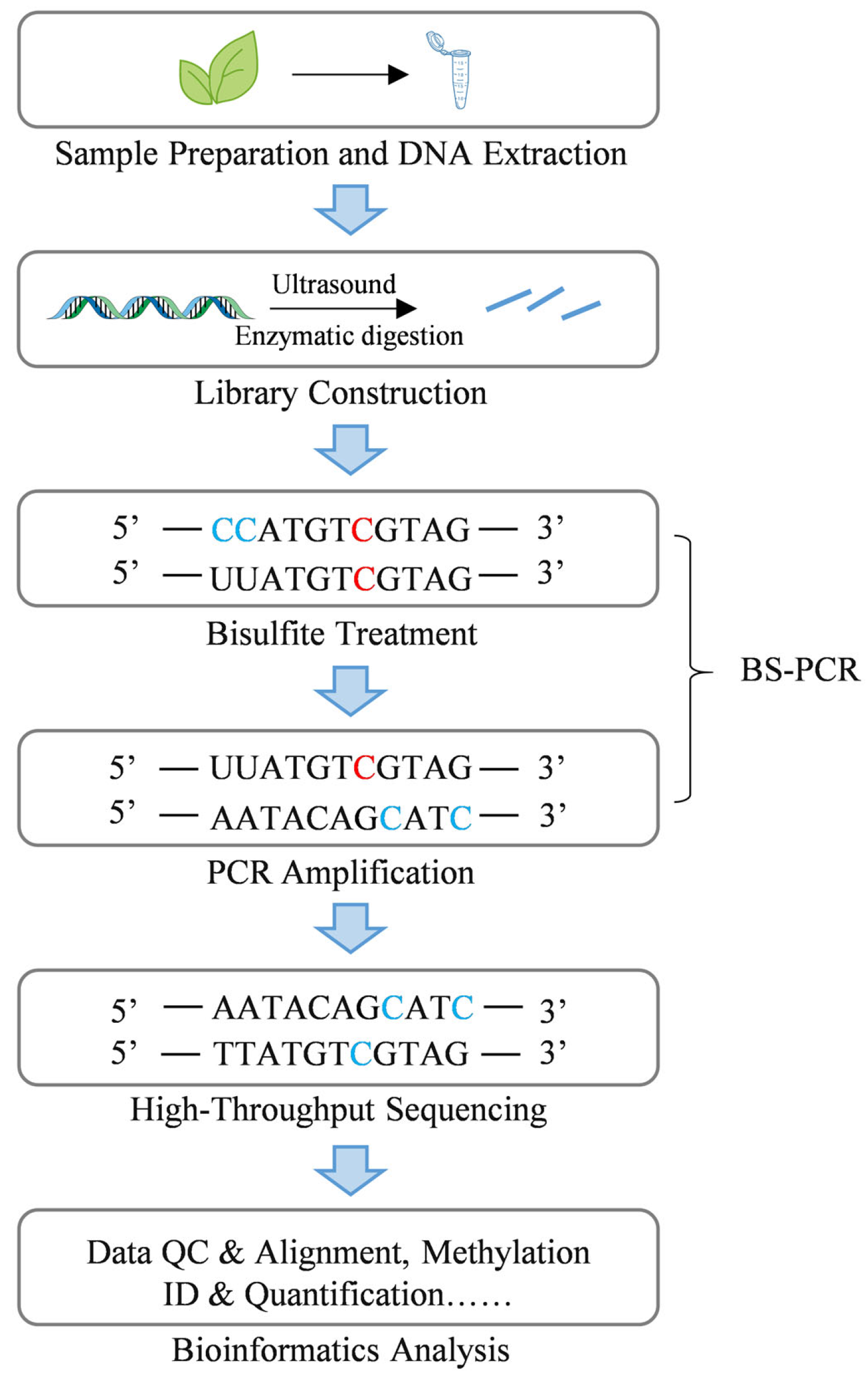 Ijms 26 08454 g002 Ijms 26 08454 g002