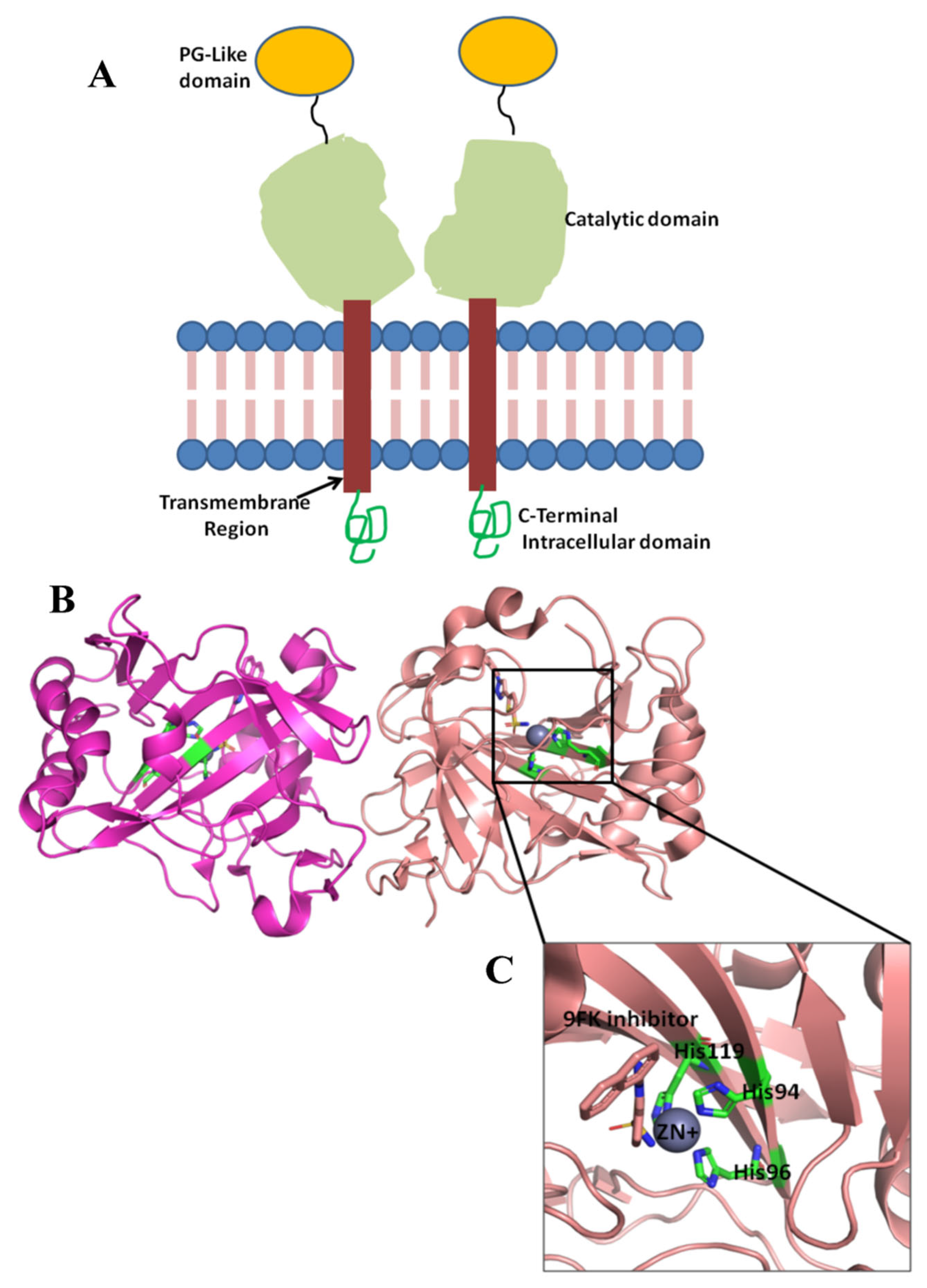 Ijms 26 08465 g001