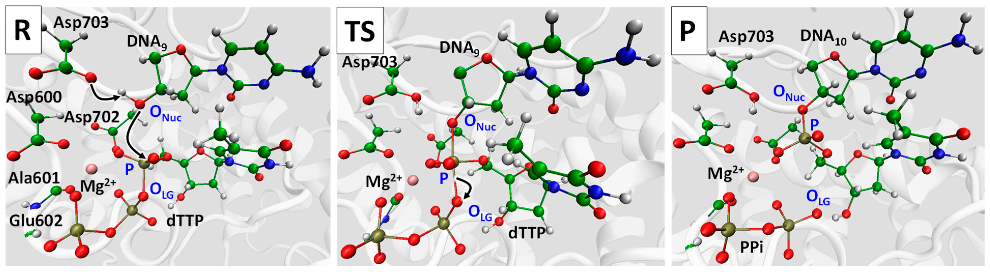 Ijms 26 08661 g002