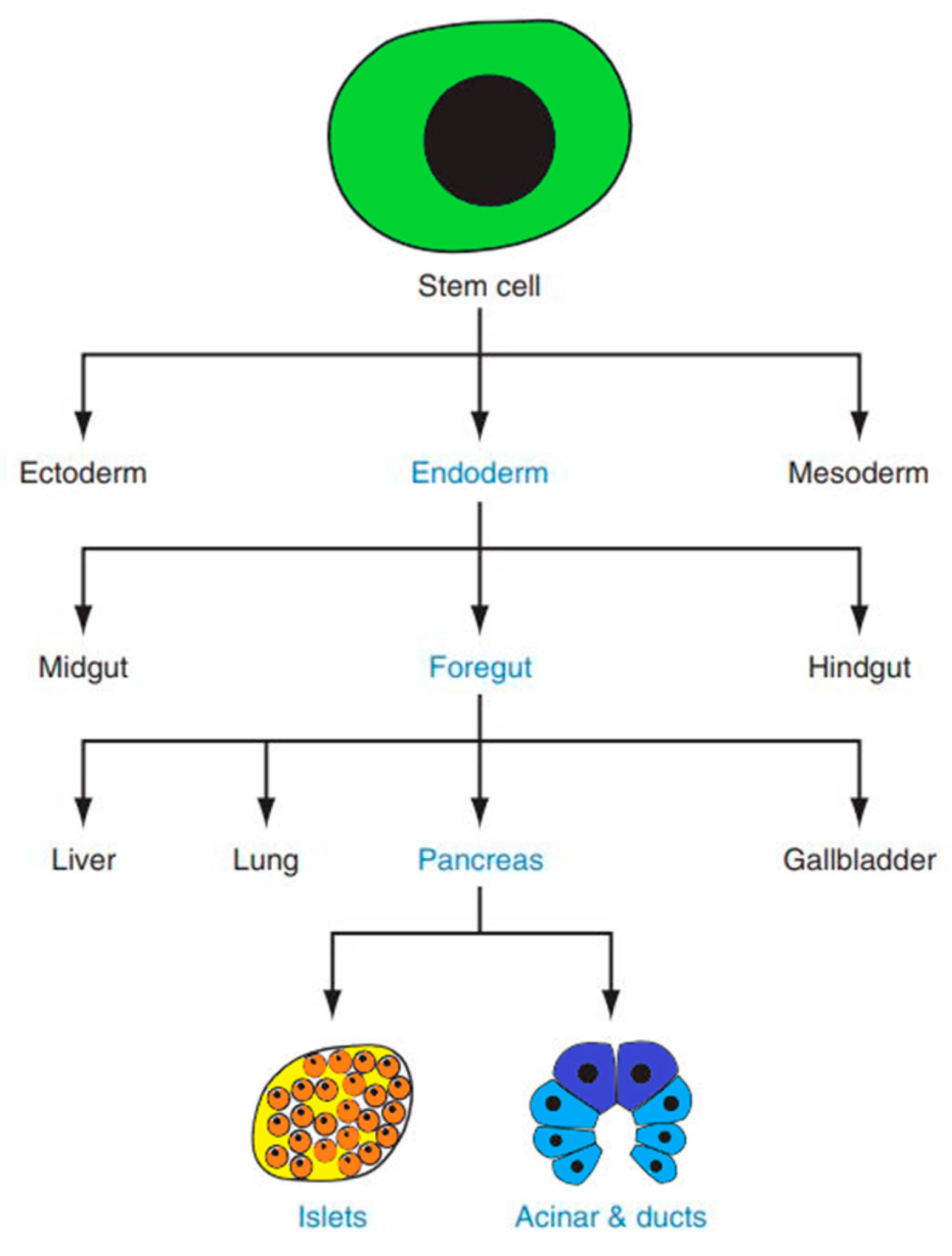 Ijms 26 08749 g001 Ijms 26 08749 g001
