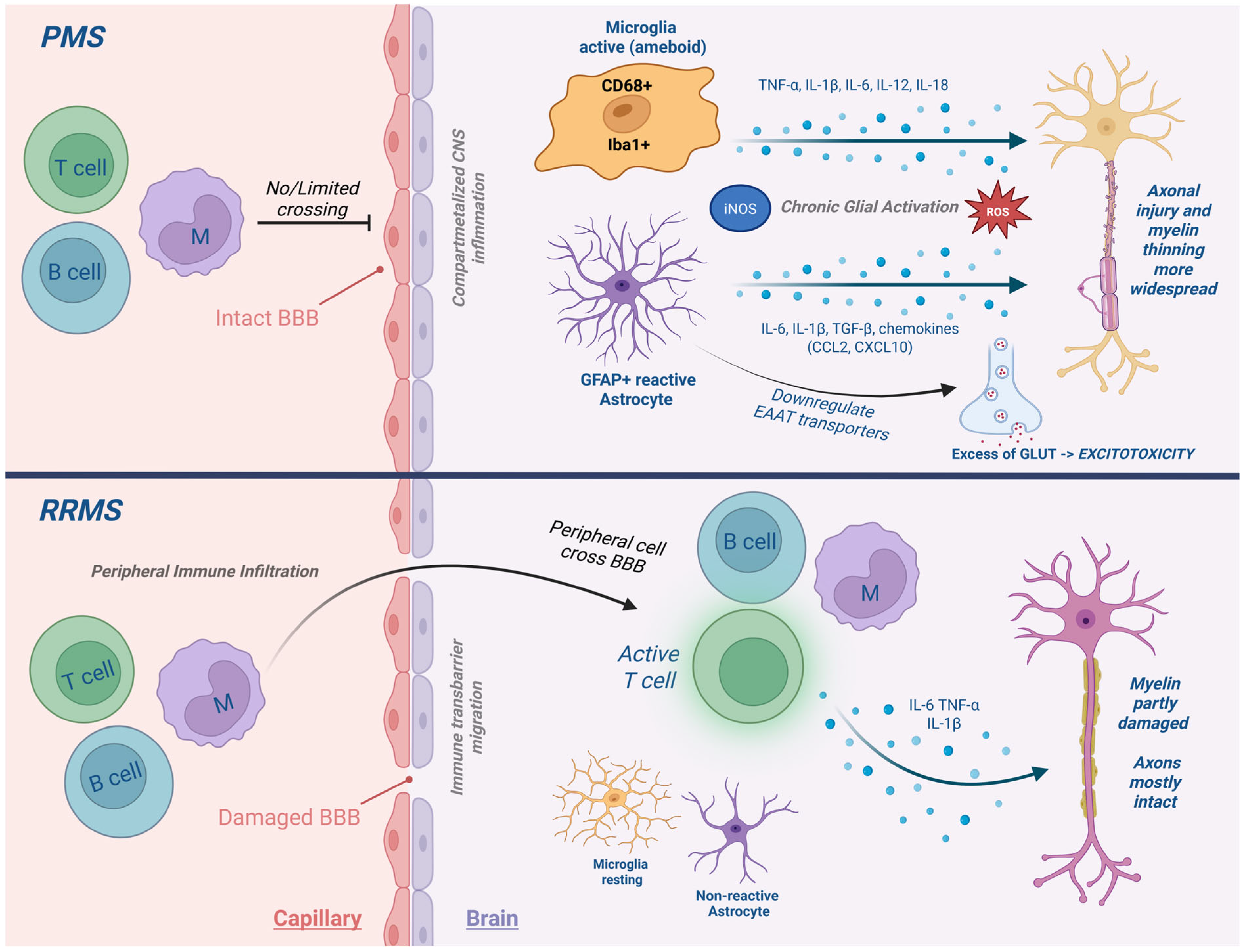 Ijms 26 08817 g001 Ijms 26 08817 g001