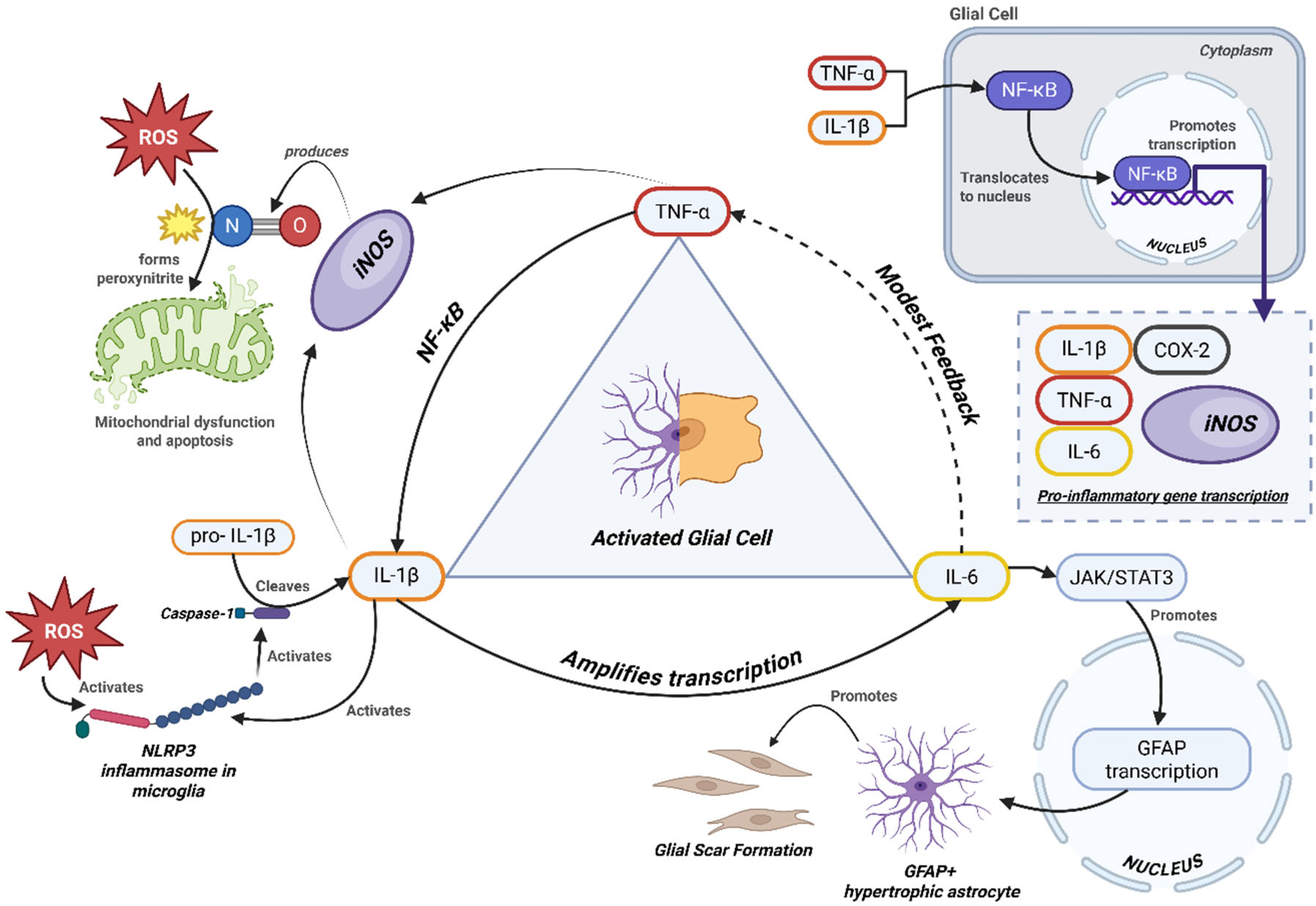 Ijms 26 08817 g002 Ijms 26 08817 g002