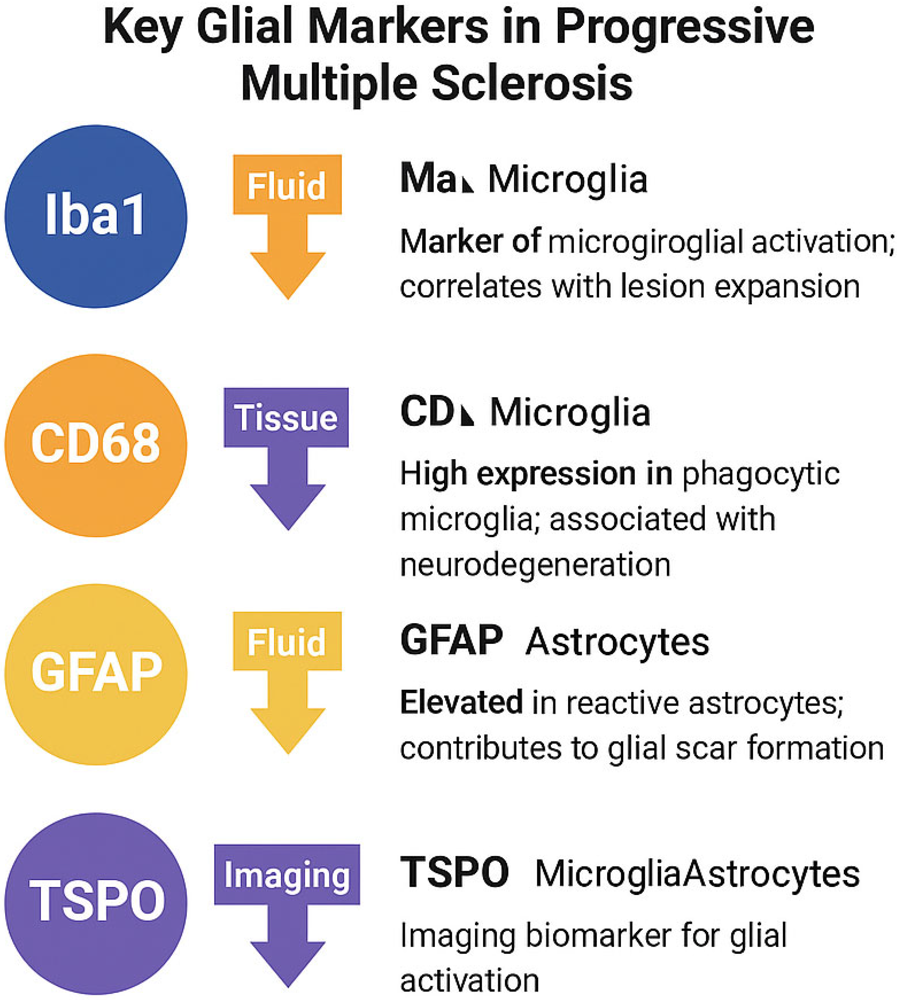 Ijms 26 08817 g003 Ijms 26 08817 g003