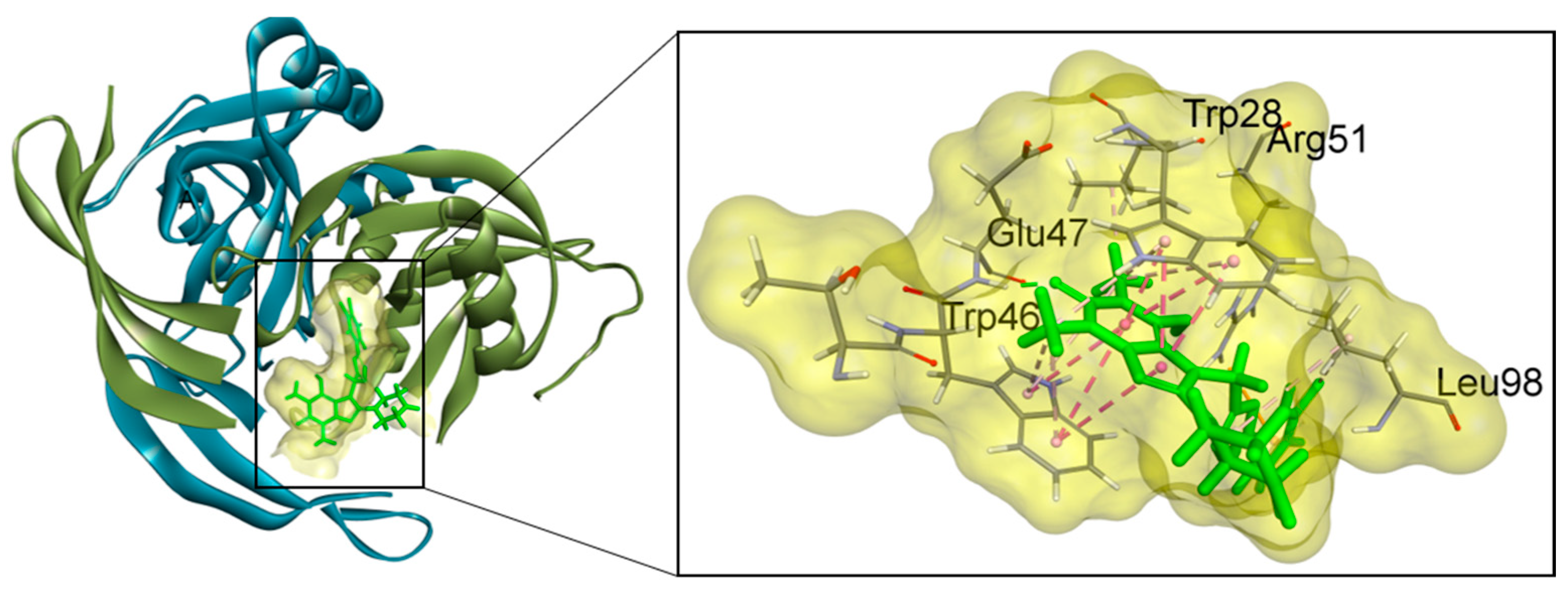 Ijms 26 08843 g001 Ijms 26 08843 g001