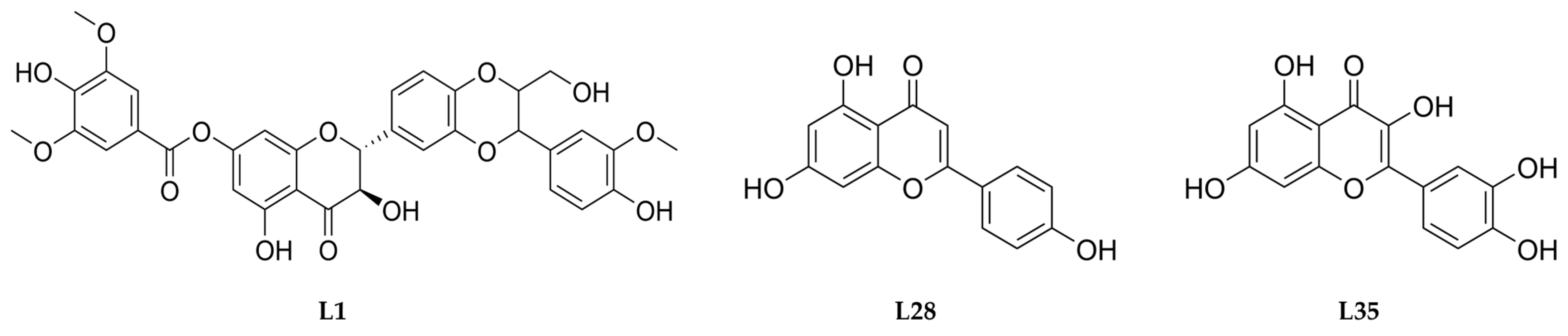 Ijms 26 08843 g005 Ijms 26 08843 g005