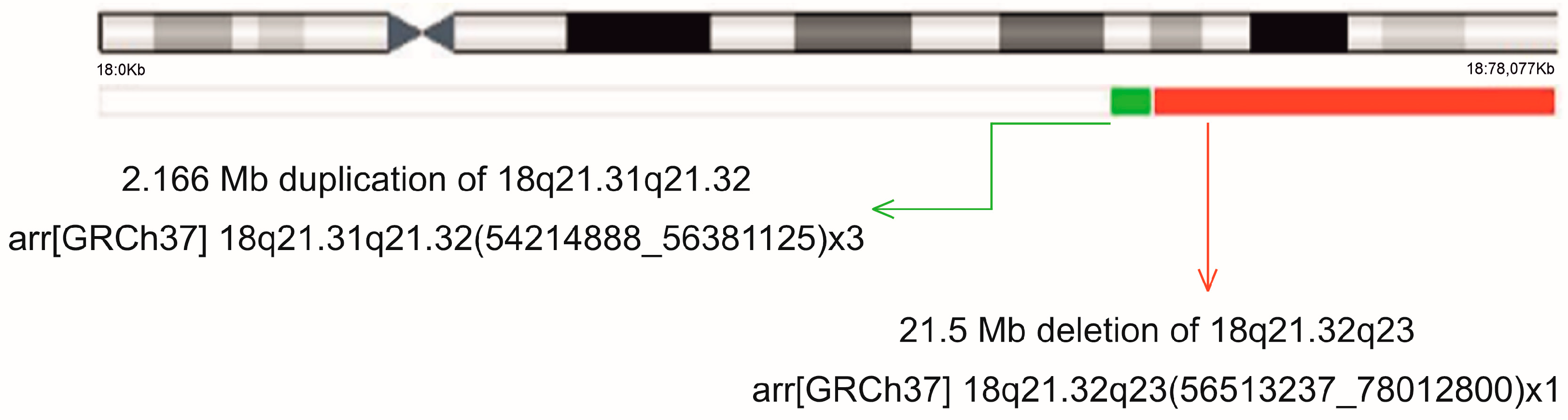Ijms 26 08886 g007 Ijms 26 08886 g007