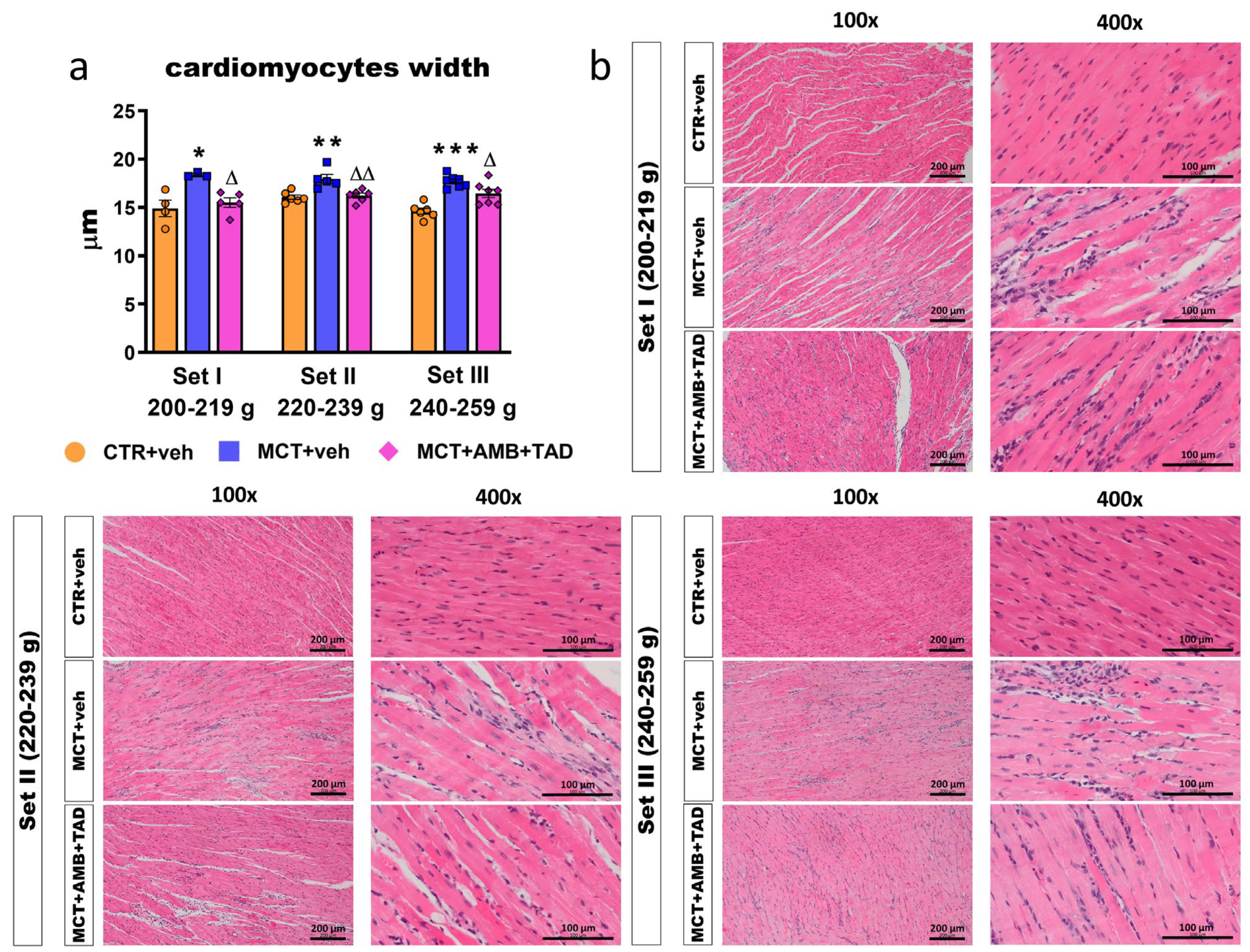 Ijms 26 08916 g002 Ijms 26 08916 g002