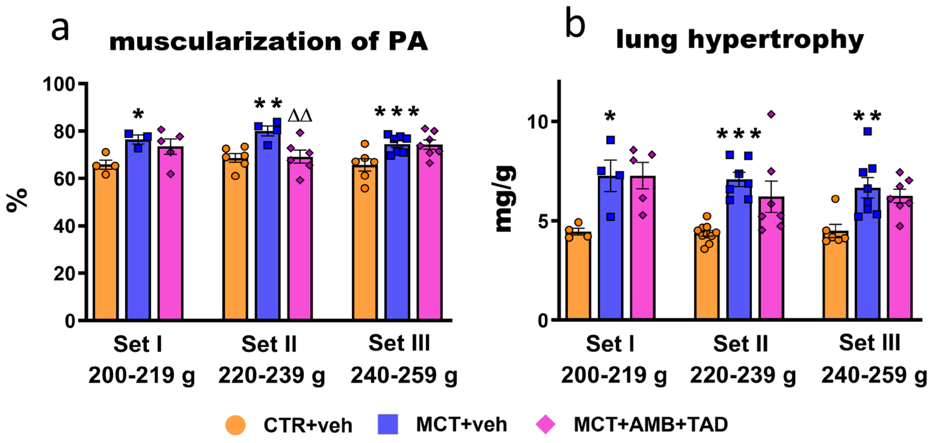 Ijms 26 08916 g006 Ijms 26 08916 g006