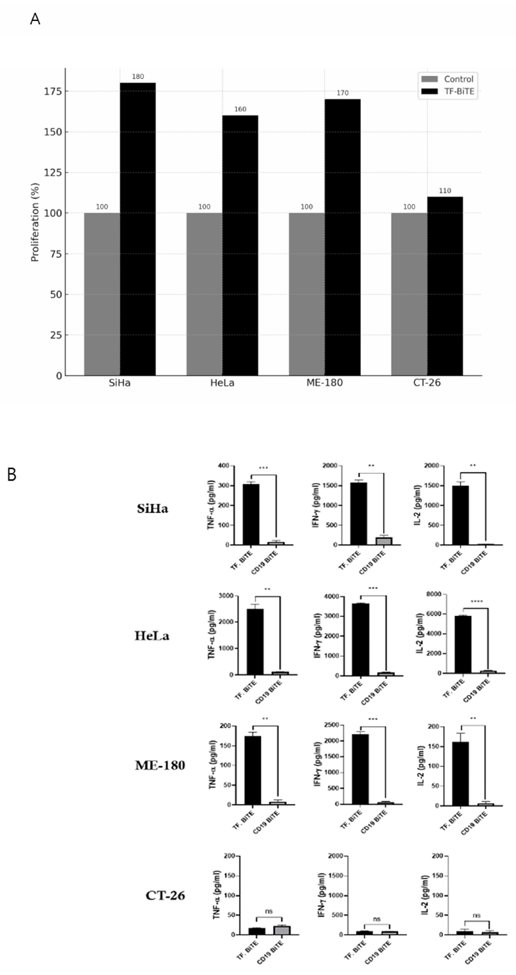 Ijms 26 08941 g004 Ijms 26 08941 g004