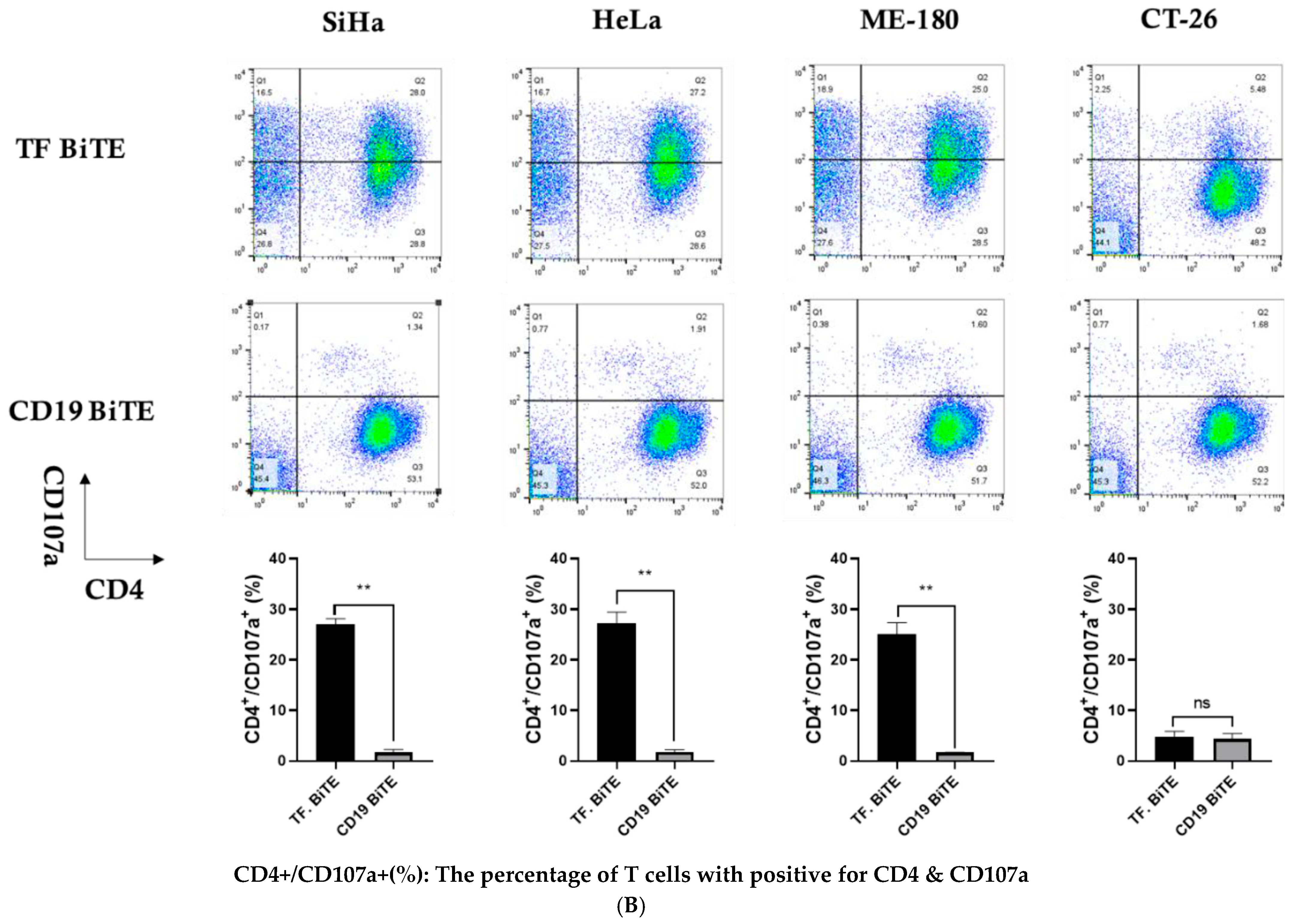 Ijms 26 08941 g005b Ijms 26 08941 g005b