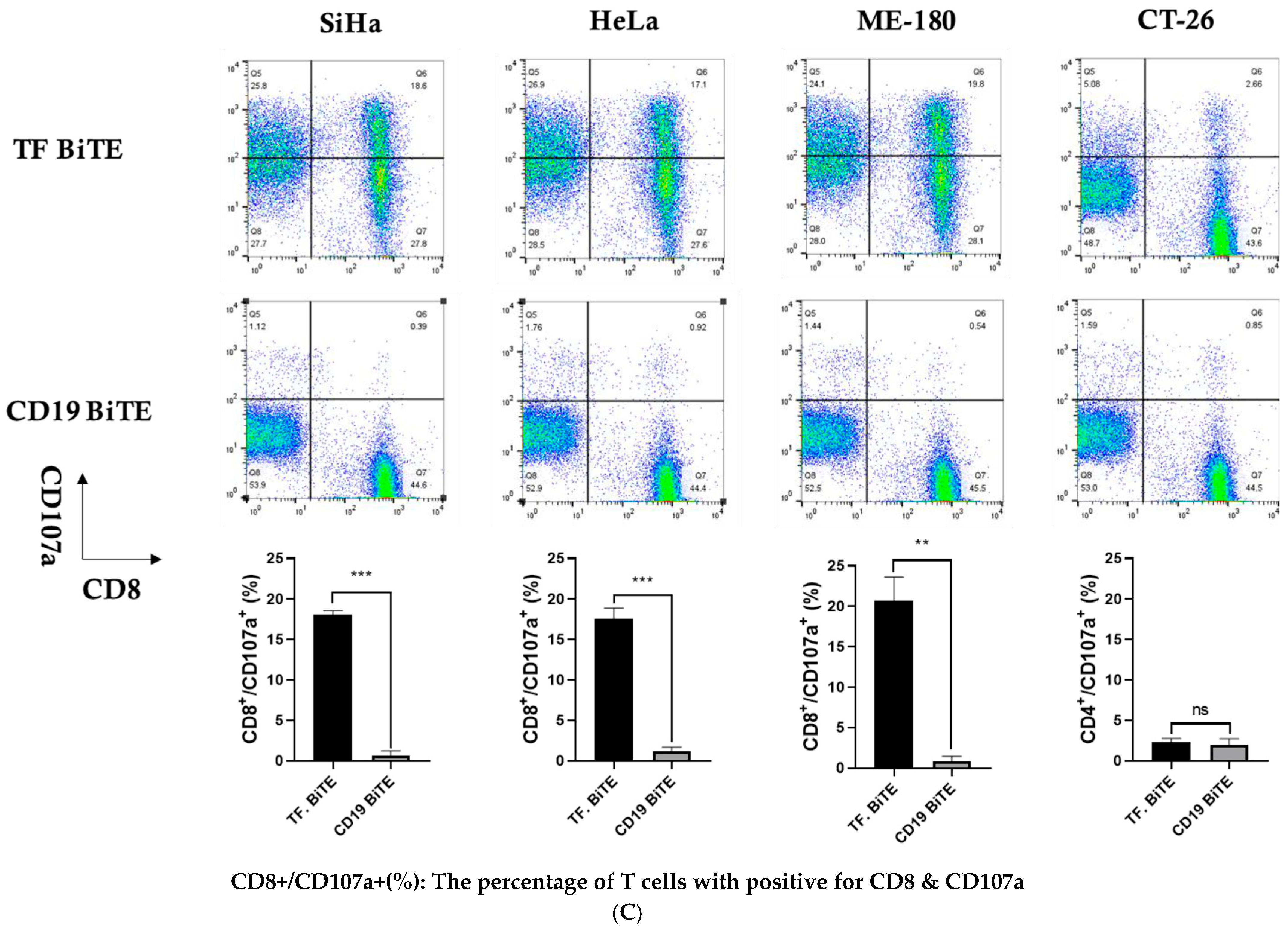 Ijms 26 08941 g005c Ijms 26 08941 g005c