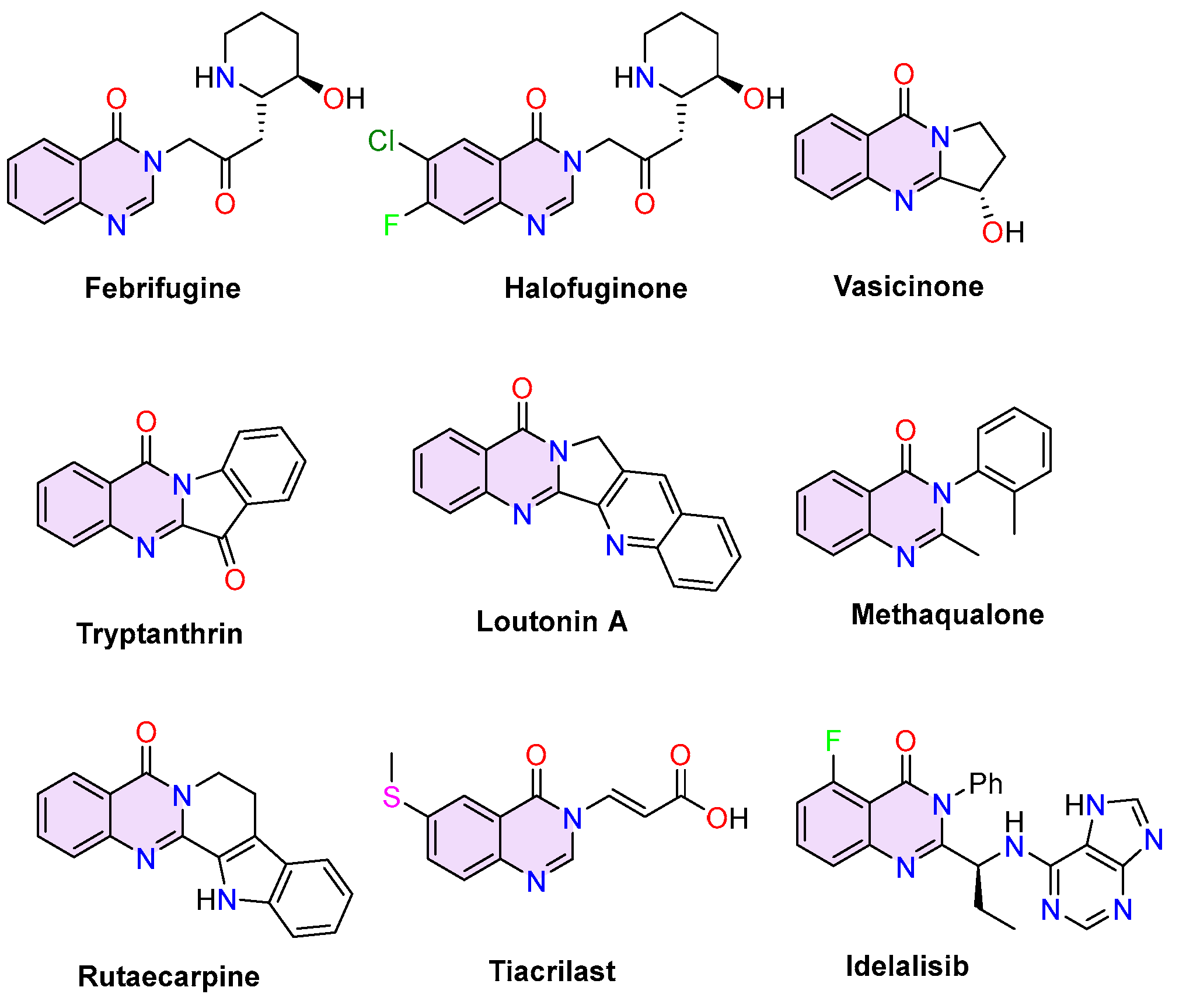 Ijms 26 08955 g005 Ijms 26 08955 g005