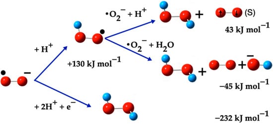 Ijms 26 08989 g005