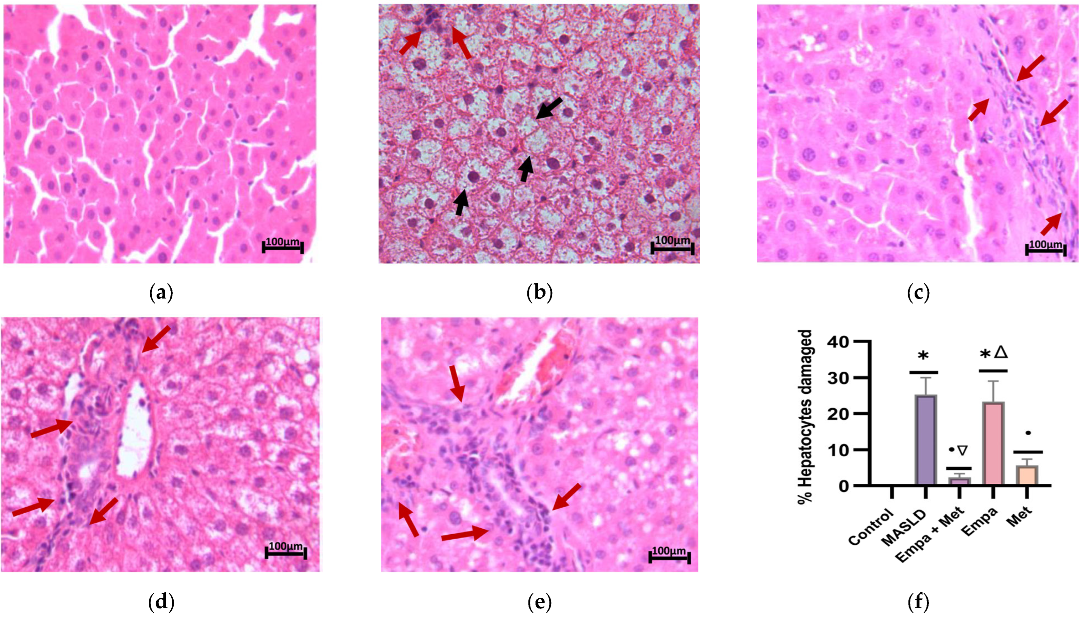 Ijms 26 09010 g004