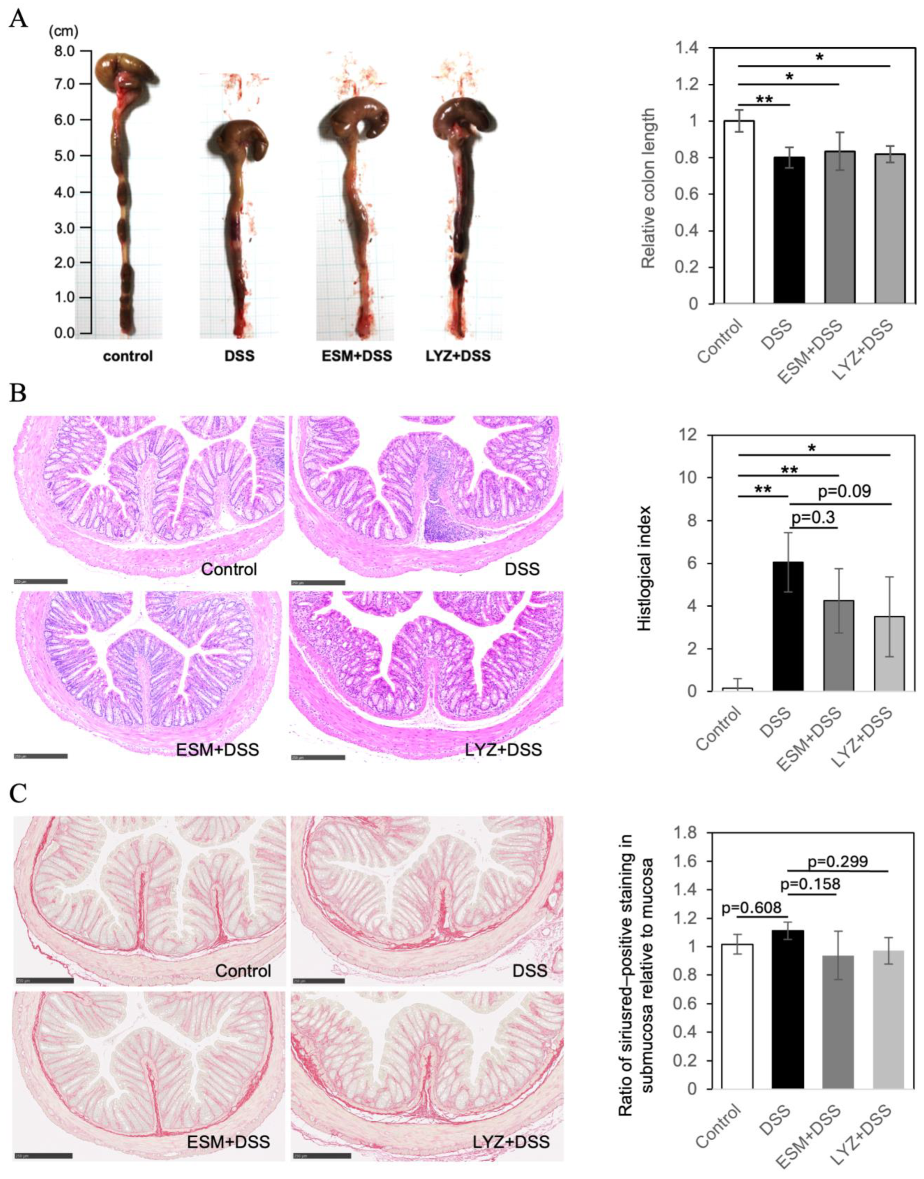 Ijms 26 09102 g004 Ijms 26 09102 g004