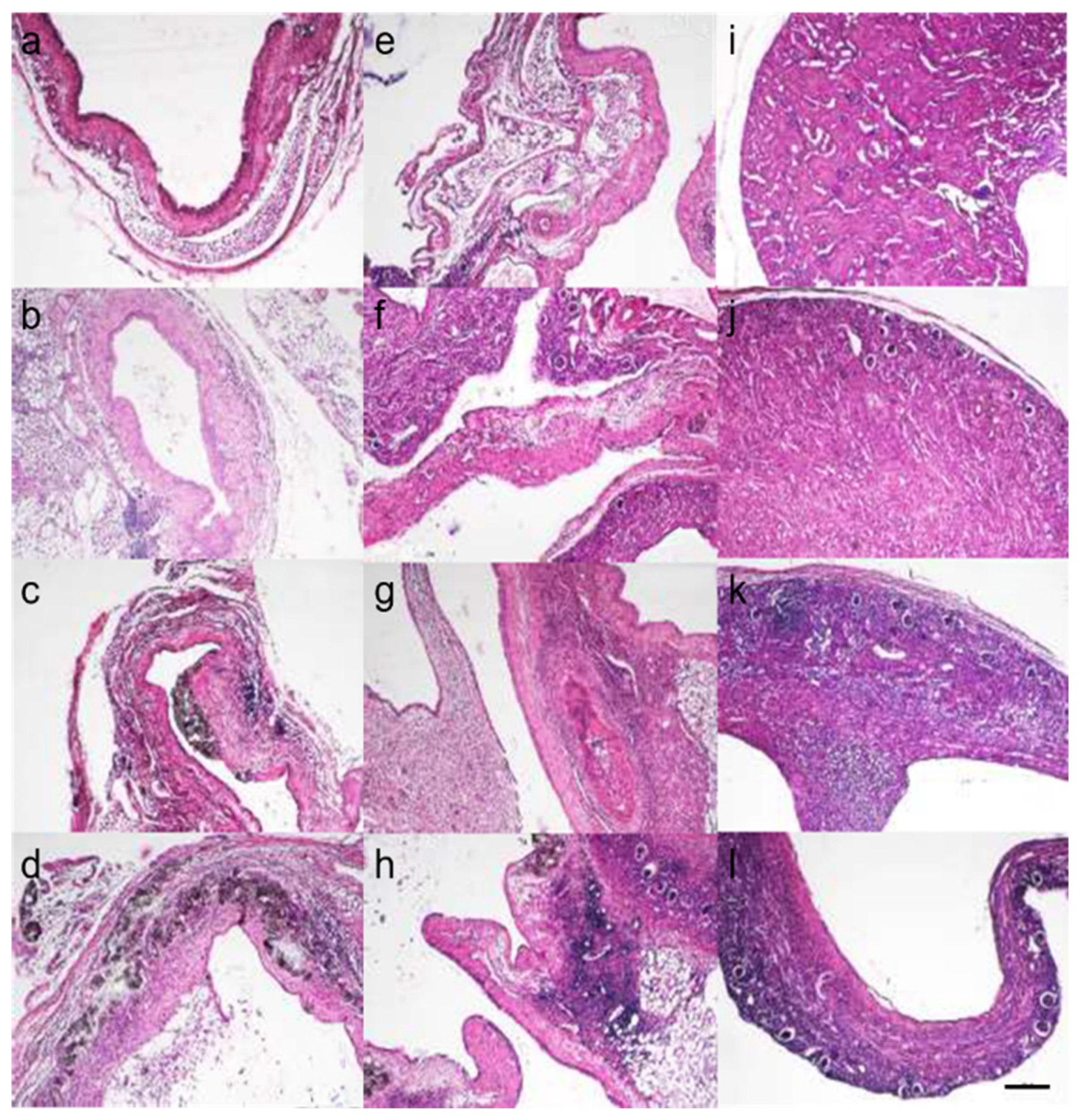 Ijms 26 09117 g002 Ijms 26 09117 g002