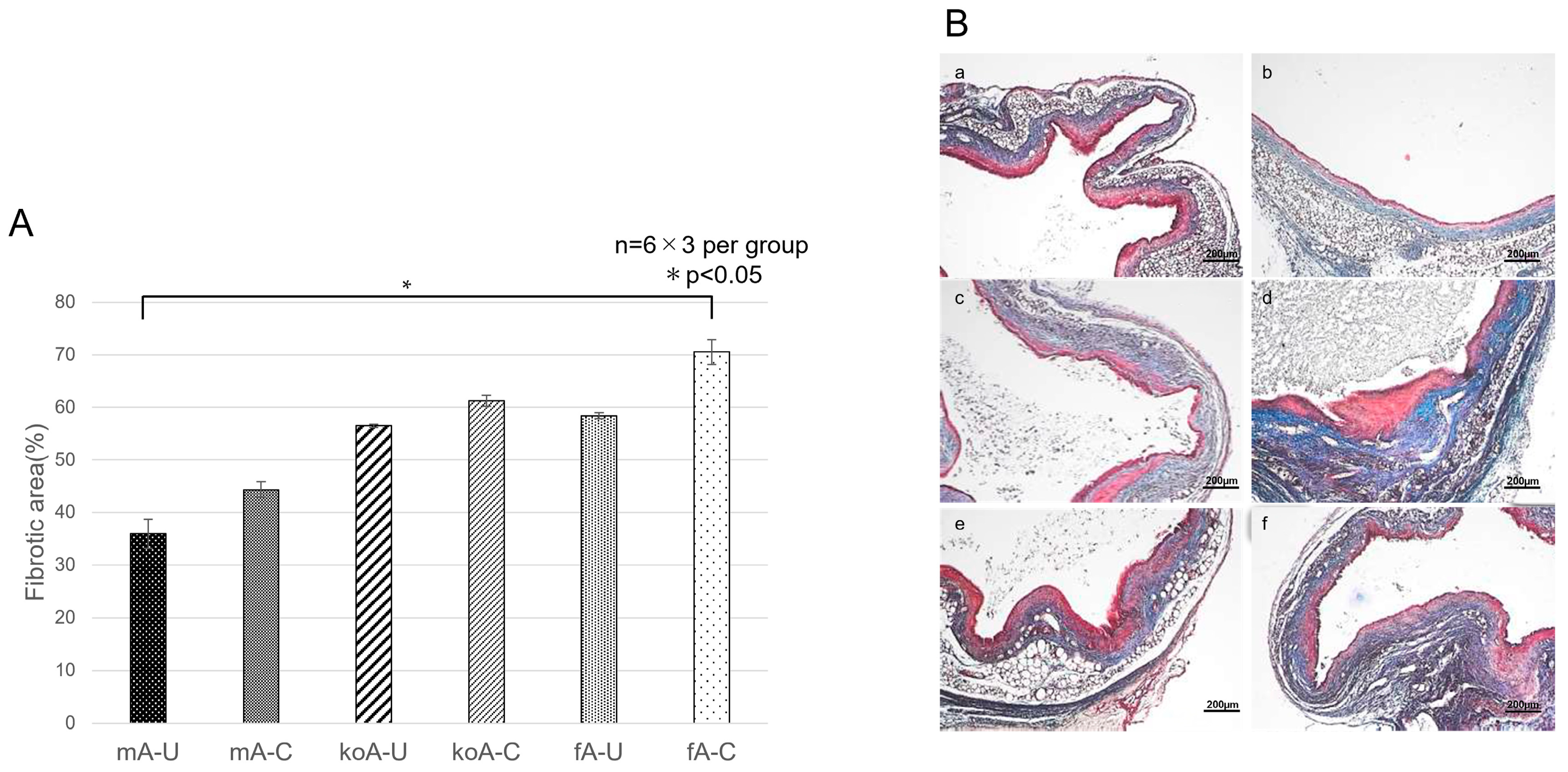 Ijms 26 09117 g005 Ijms 26 09117 g005