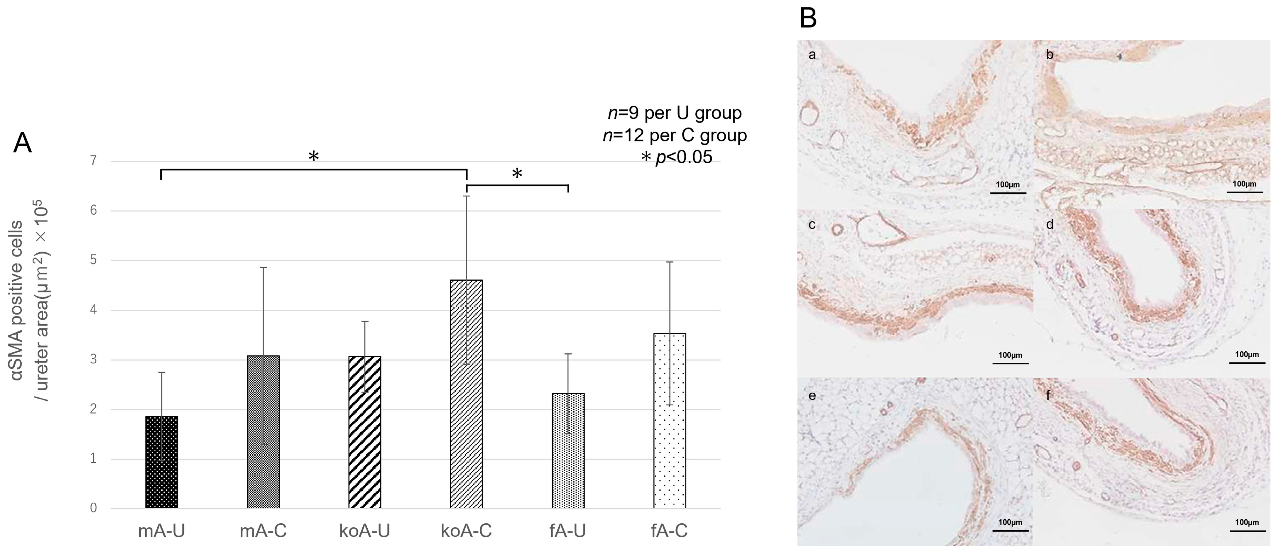 Ijms 26 09117 g006 Ijms 26 09117 g006