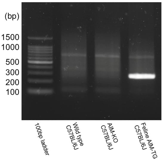 Ijms 26 09117 g008