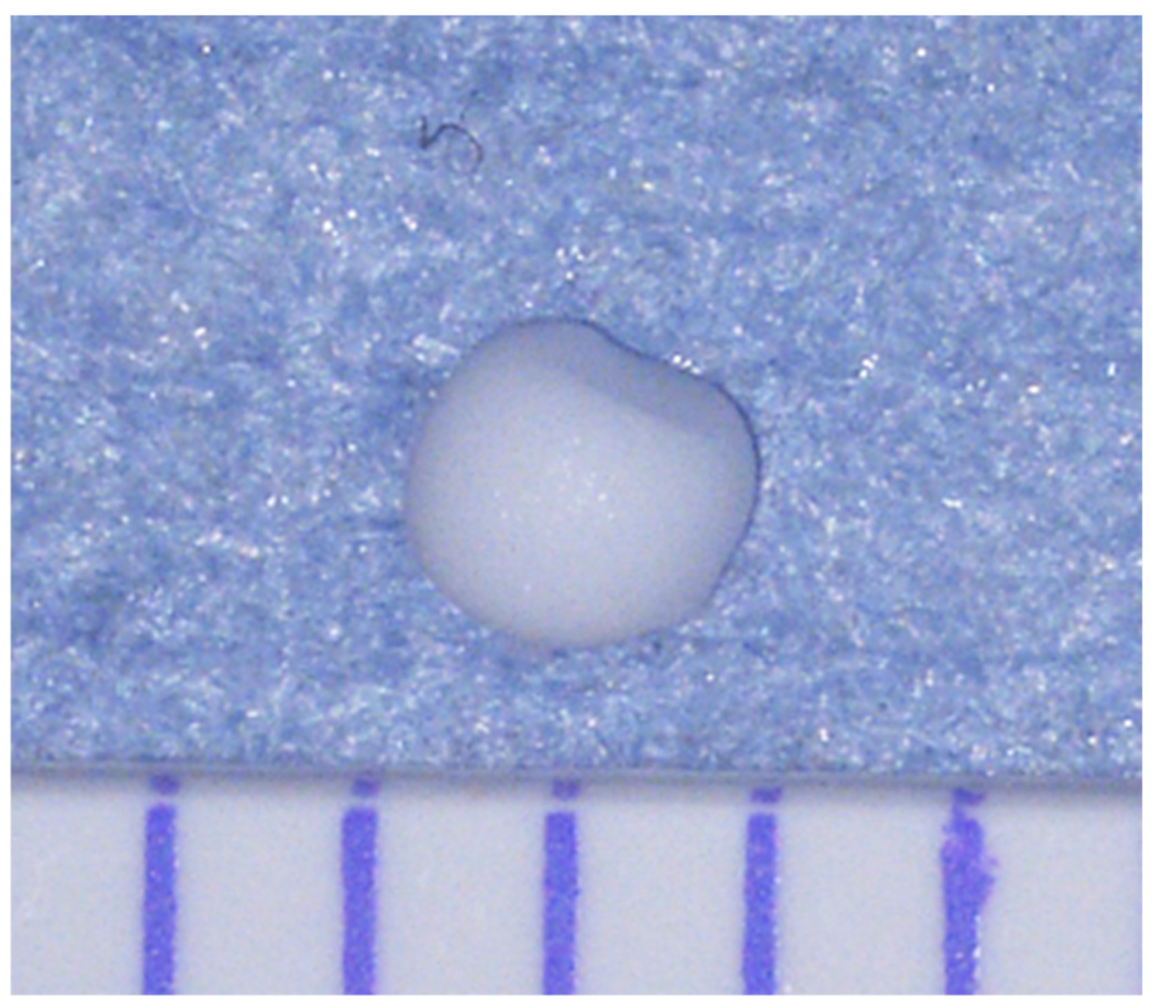 Ijms 26 09117 g009 Ijms 26 09117 g009