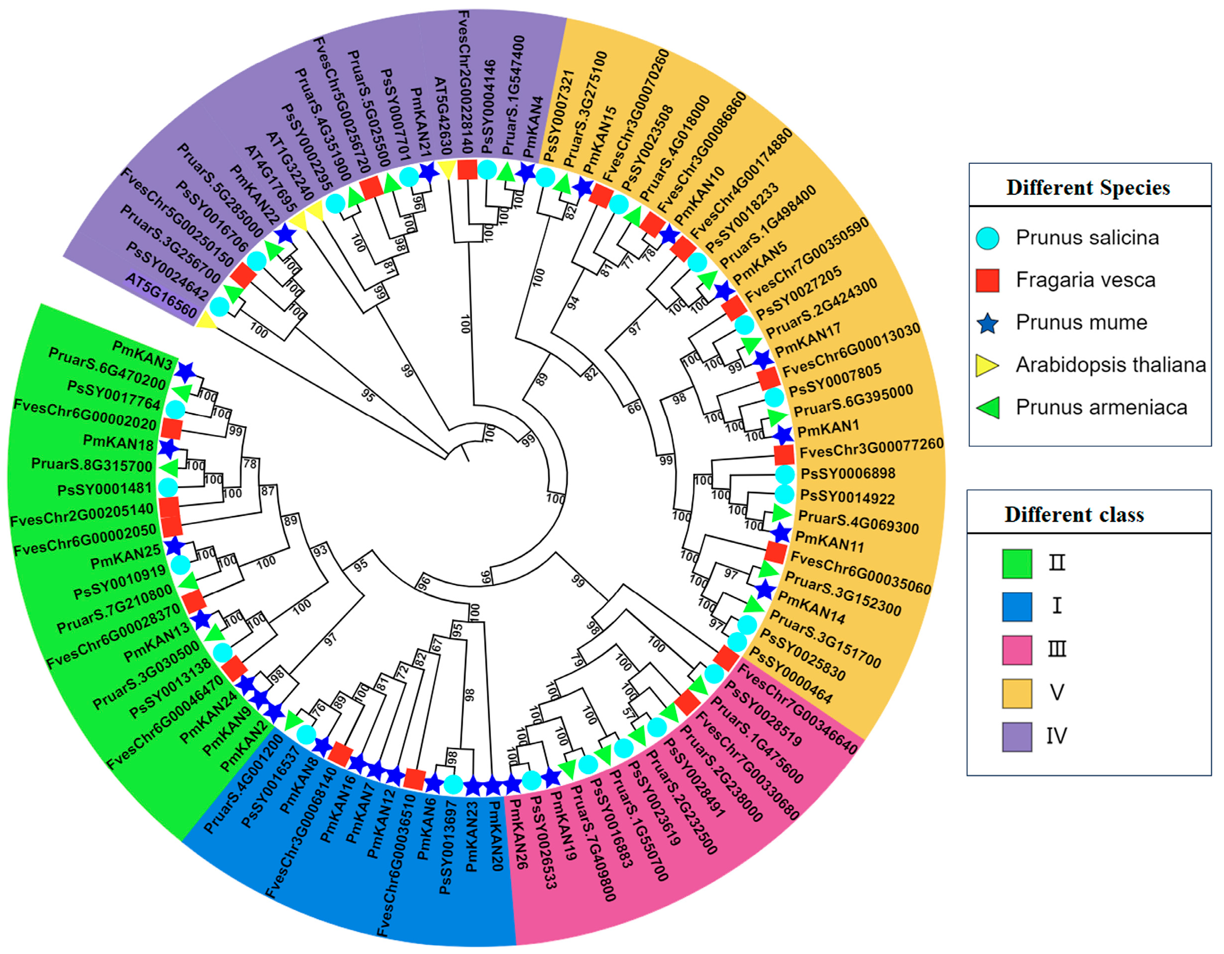 Ijms 26 09121 g001 Ijms 26 09121 g001