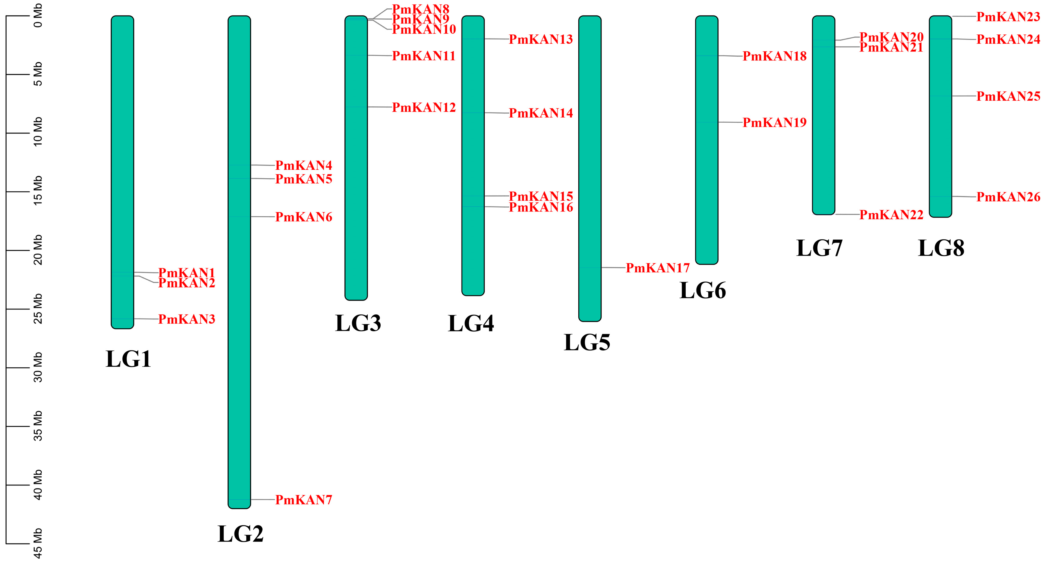 Ijms 26 09121 g005 Ijms 26 09121 g005