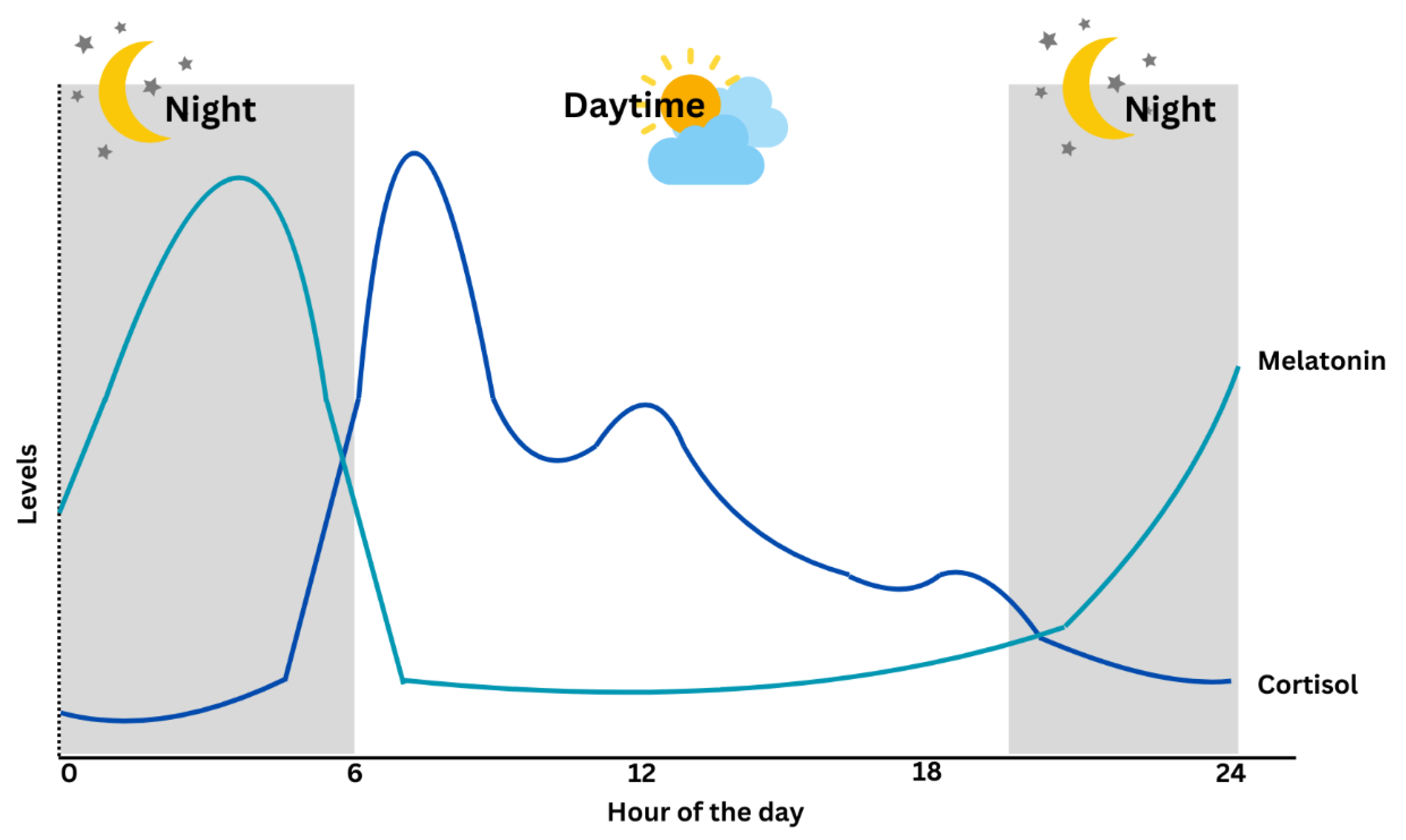 Cortisol Detection Methods and the Hormone’s Role in Evaluating ...
