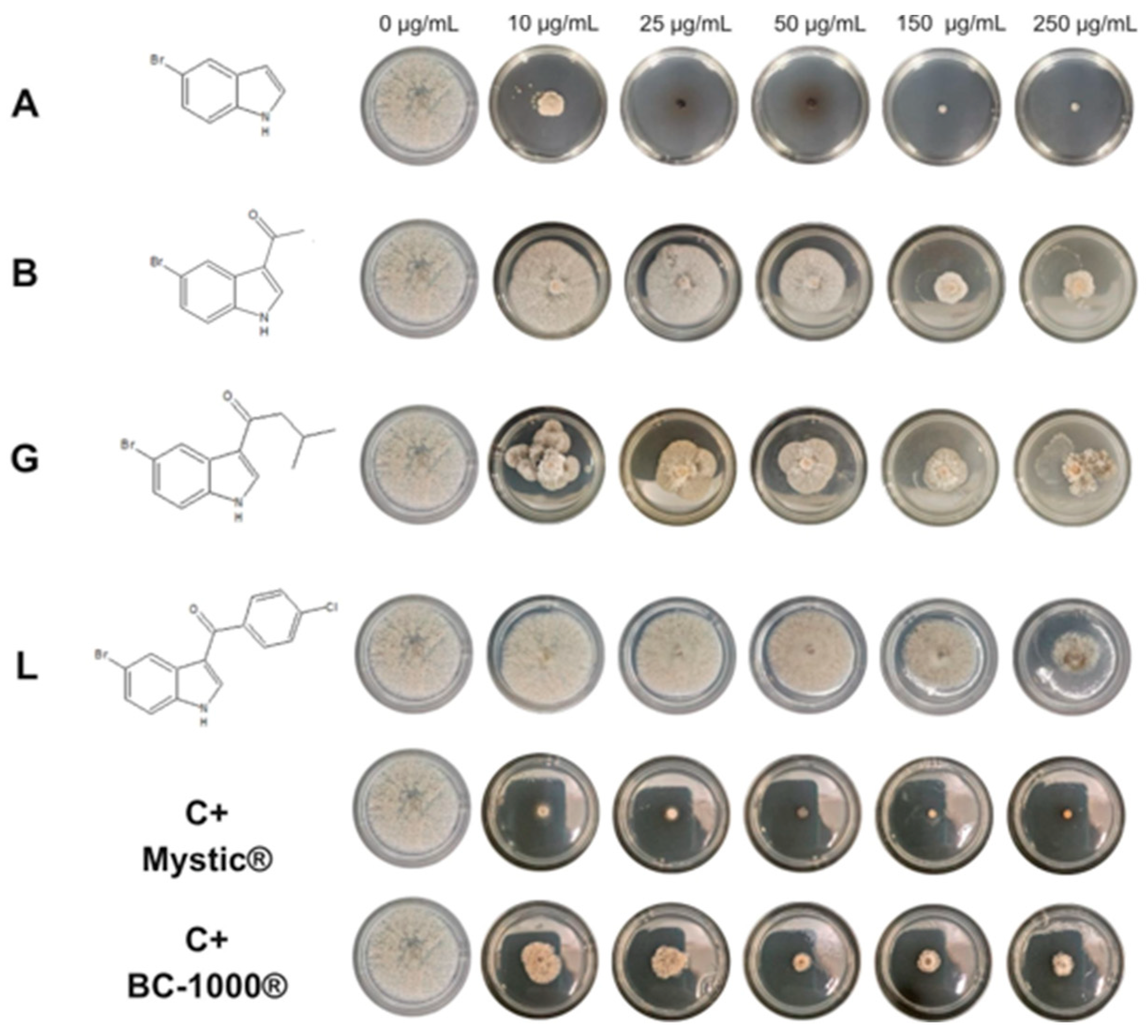 Ijms 26 09148 g001 Ijms 26 09148 g001