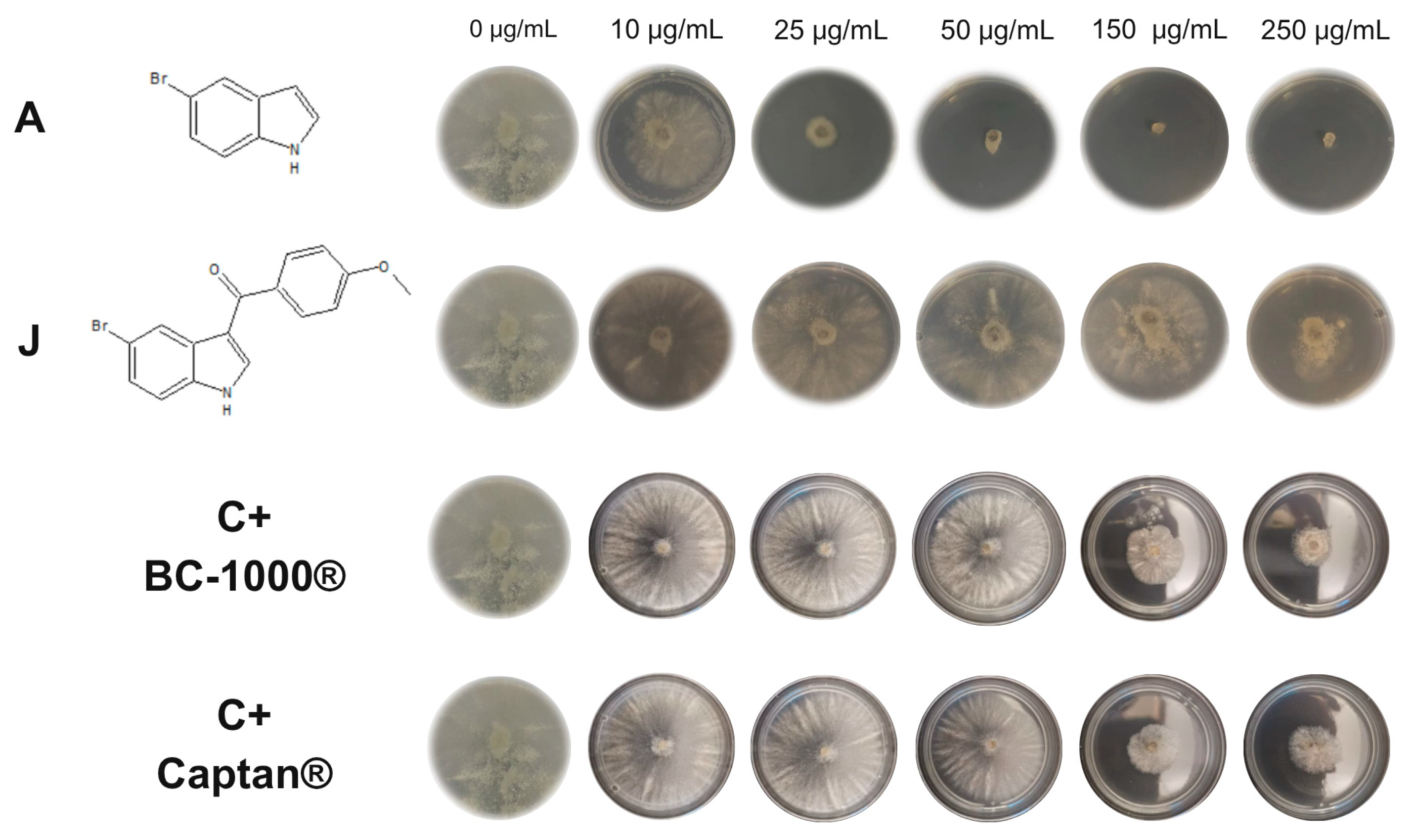 Ijms 26 09148 g002 Ijms 26 09148 g002