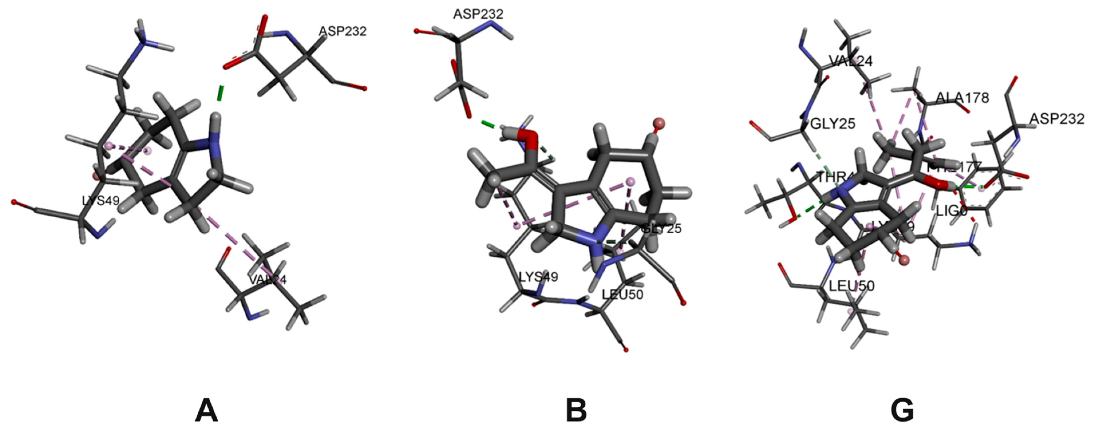 Ijms 26 09148 g003 Ijms 26 09148 g003
