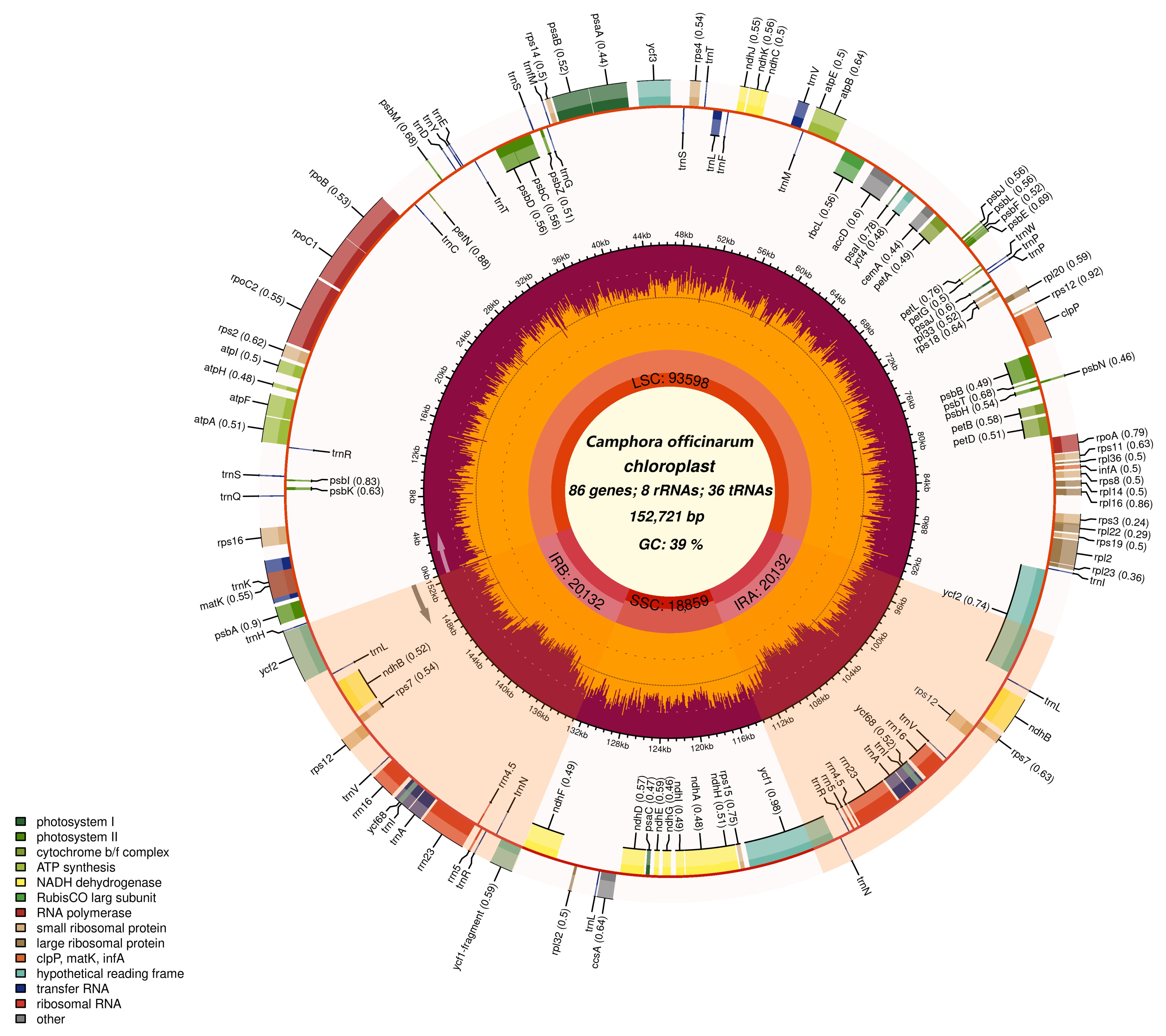 Ijms 26 09229 g001 Ijms 26 09229 g001