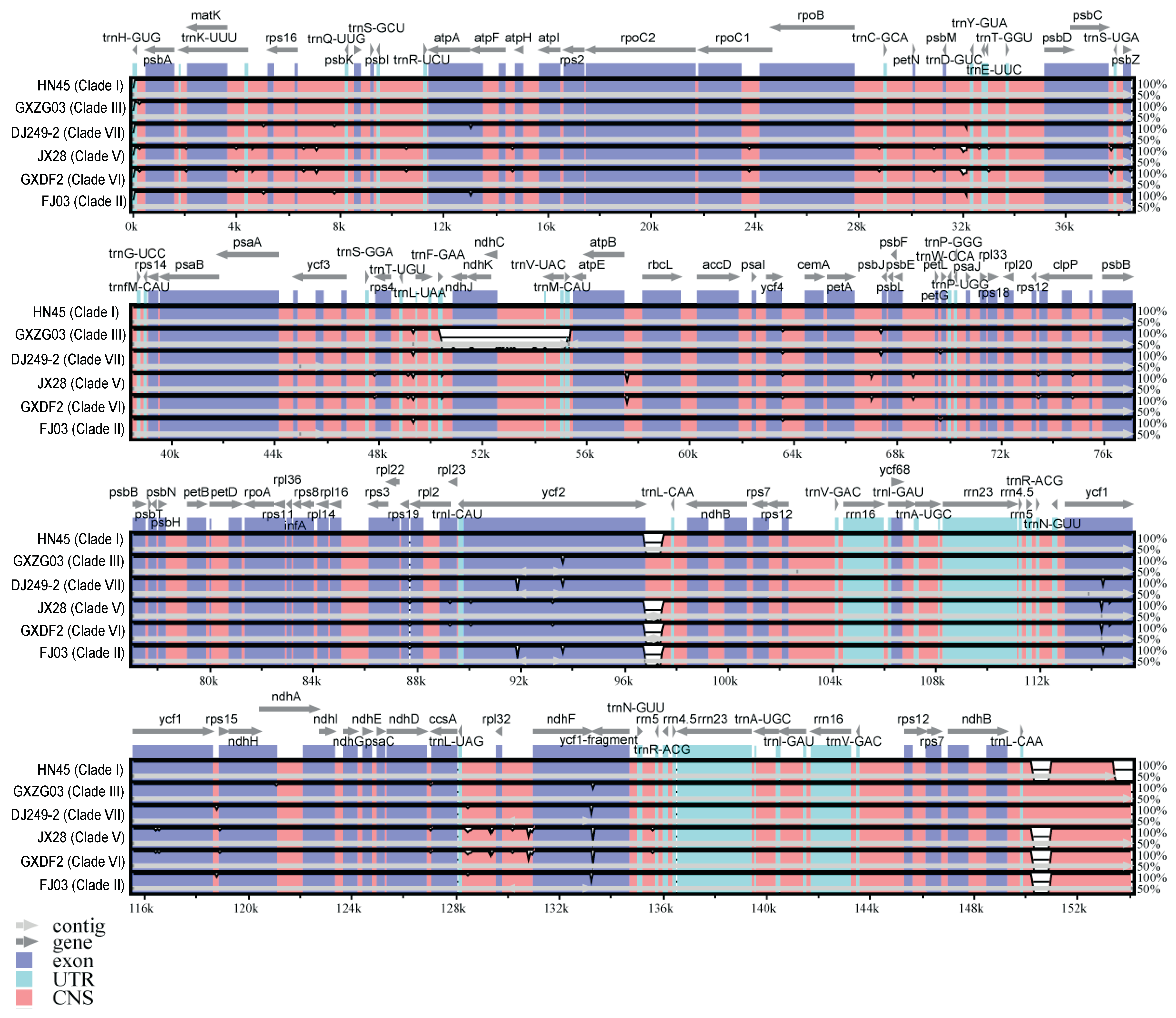 Ijms 26 09229 g004 Ijms 26 09229 g004