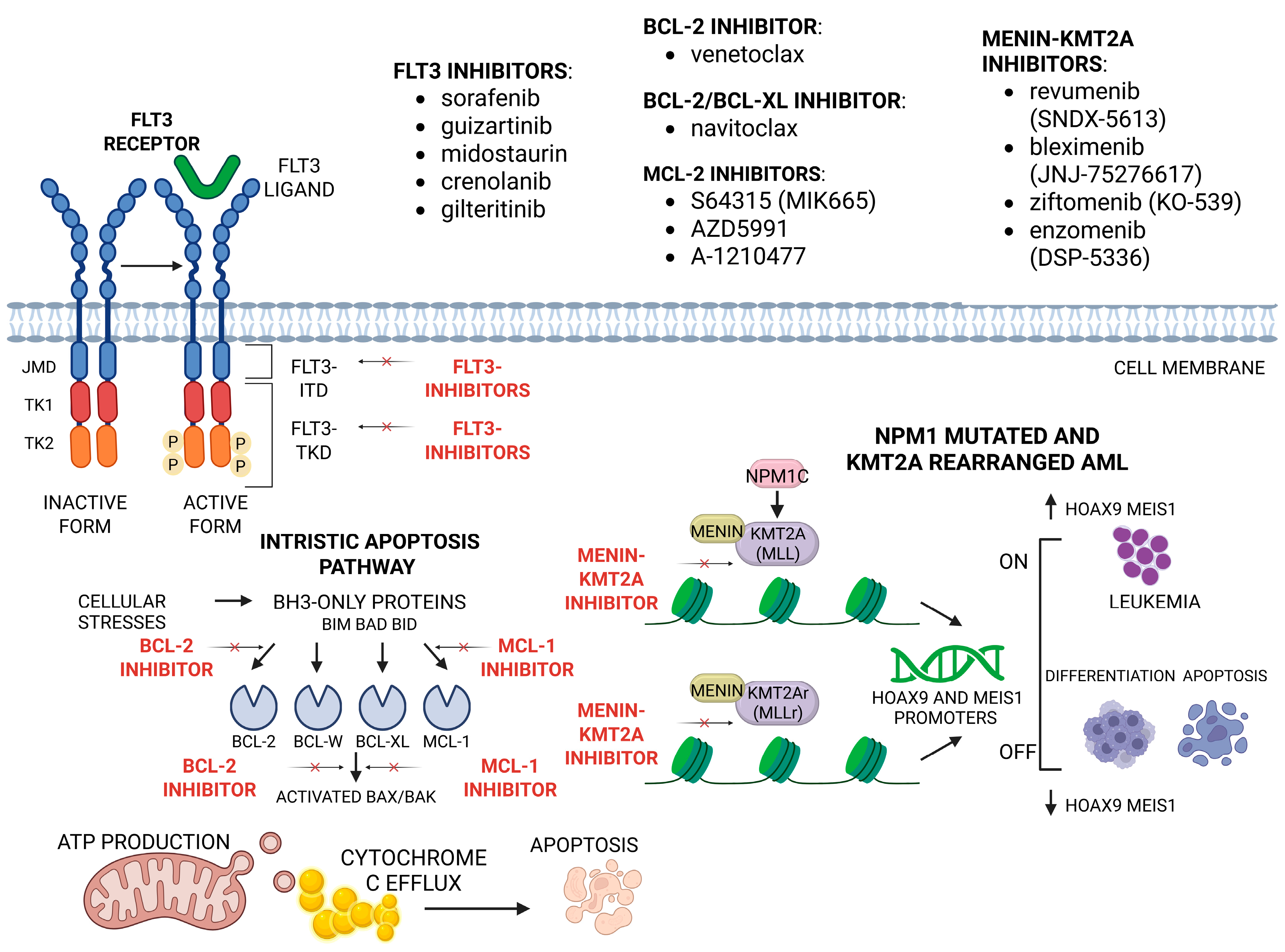 Ijms 26 09269 g002 Ijms 26 09269 g002