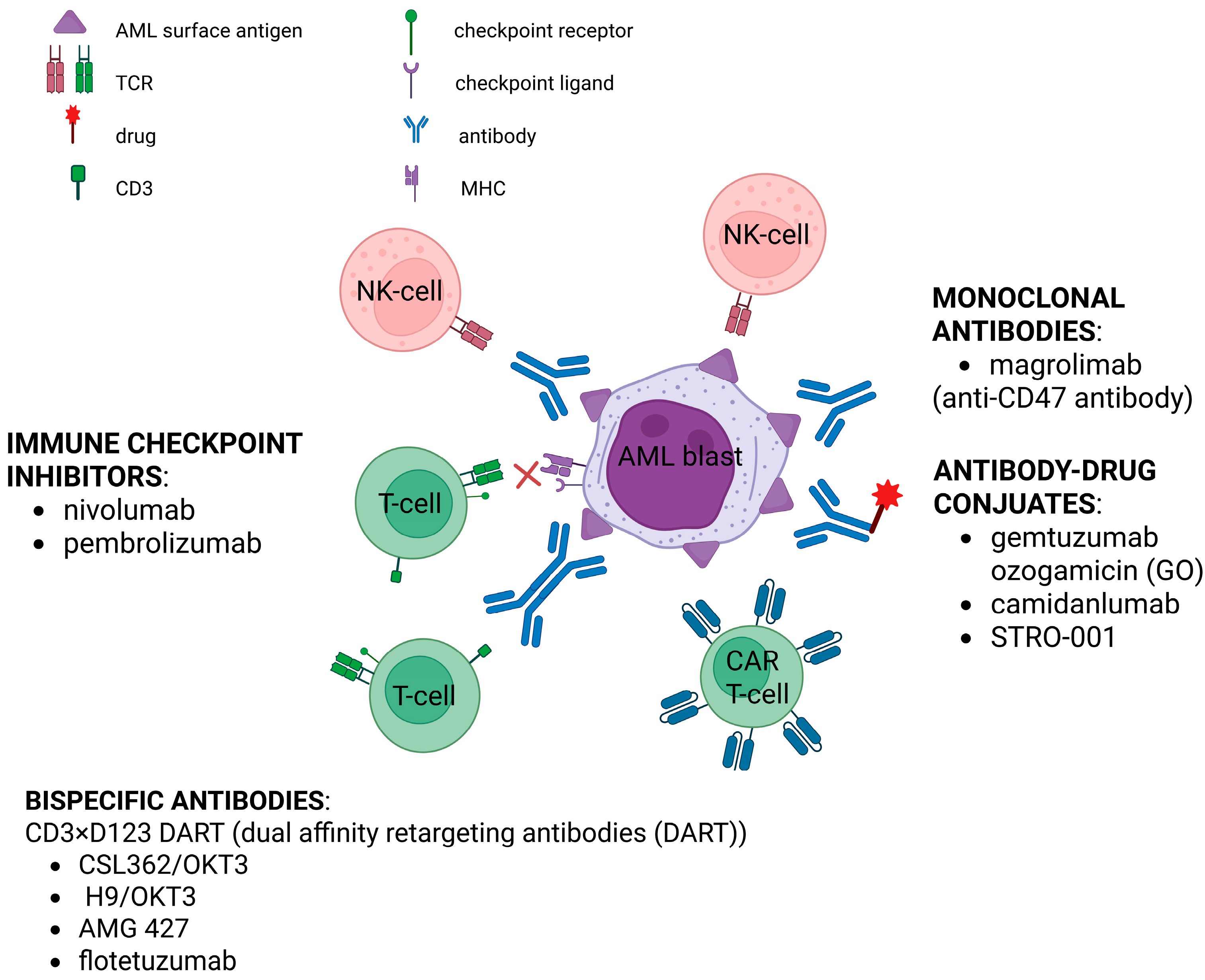 Ijms 26 09269 g004 Ijms 26 09269 g004